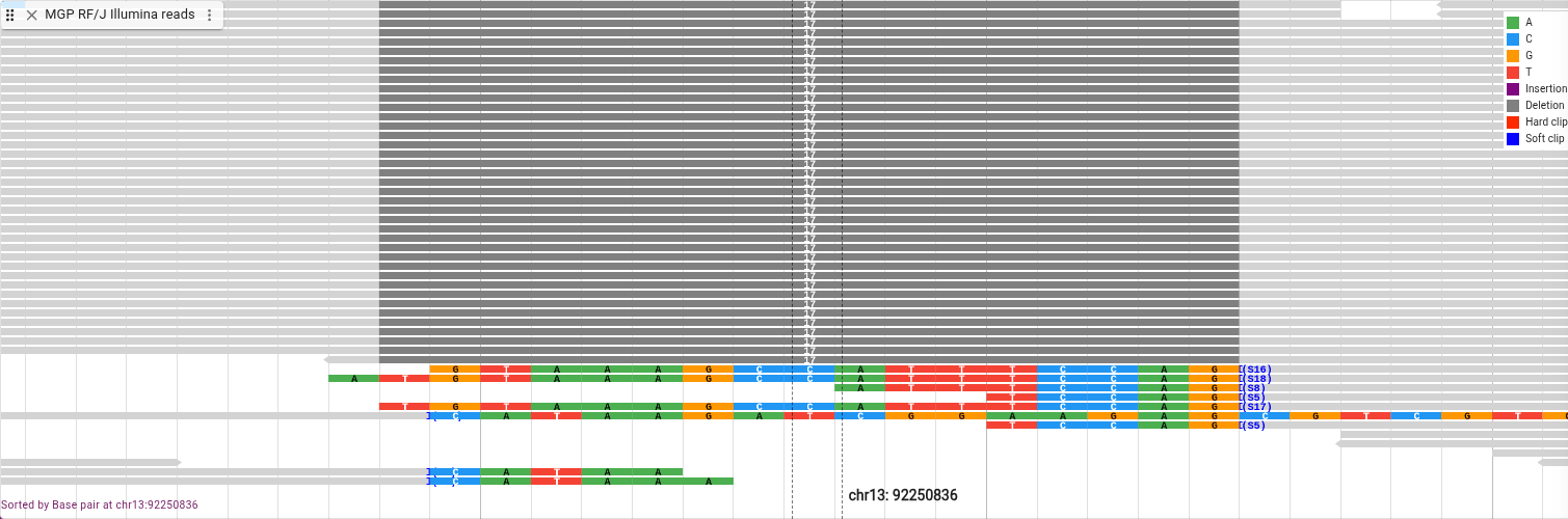 reads with deletion, sorted and showing soft clipping