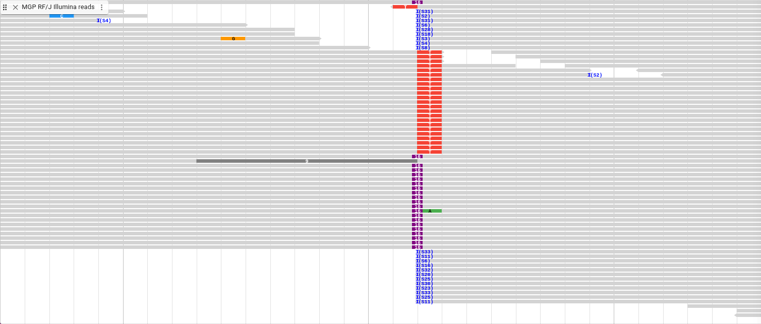 reads with insertion