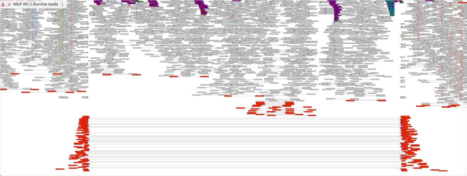 linked reads display