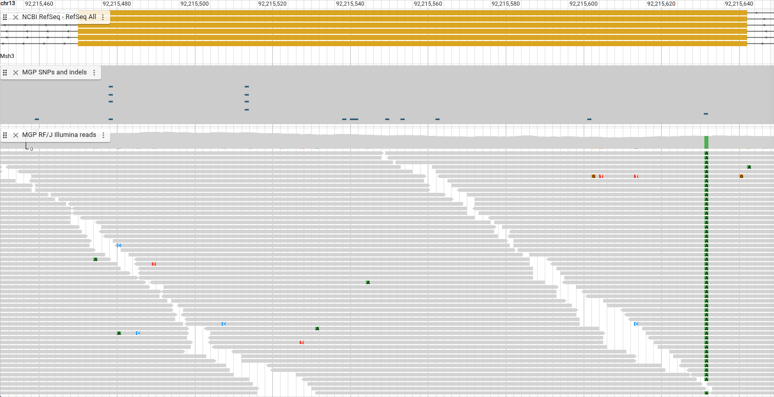 Gene, variant, and reads tracks