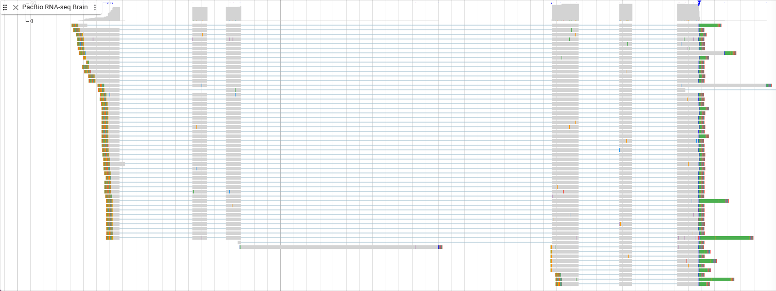 RNA-seq for the Cnpy2 gene with soft clipping shown