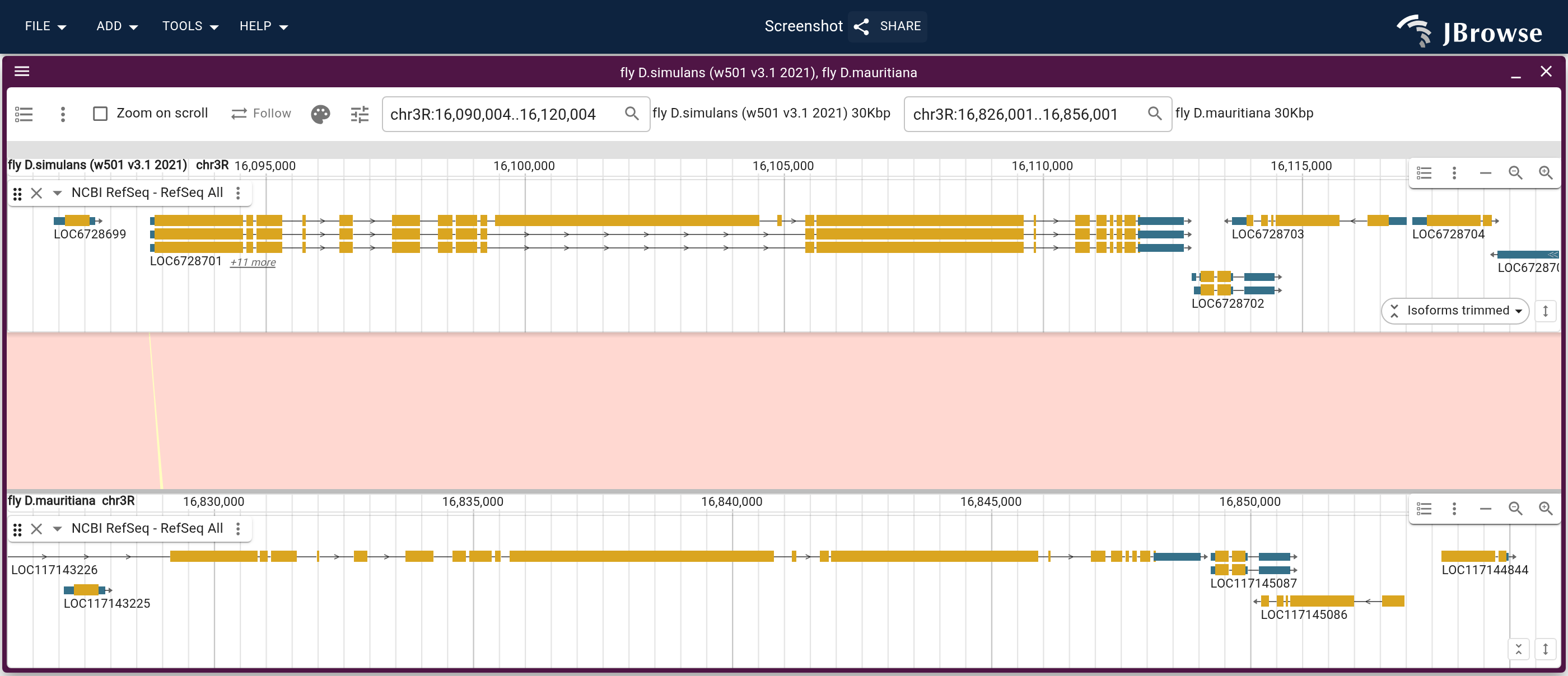 chr3R on both genomes with NCBI RefSeq genes on each row and the minimap2 alignment between them, colored red where the two run in the same direction. One block spans the window, and each gene meets its counterpart exon for exon.