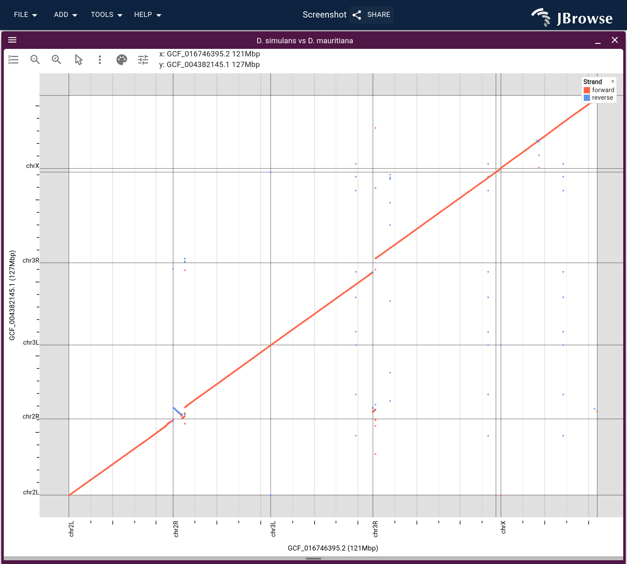 The alignment as a dotplot, both axes cut to the six chromosome arms. One forward diagonal in red, with short reverse segments in blue where chr2R begins and partway along chrX.