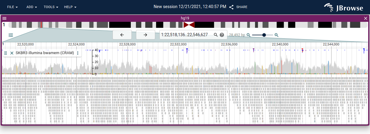 Clipping and insertion indicators are drawn at the top of the alignments track. Purple indicates insertions, the blue indicates soft clipping, and red indicates hard clipping.