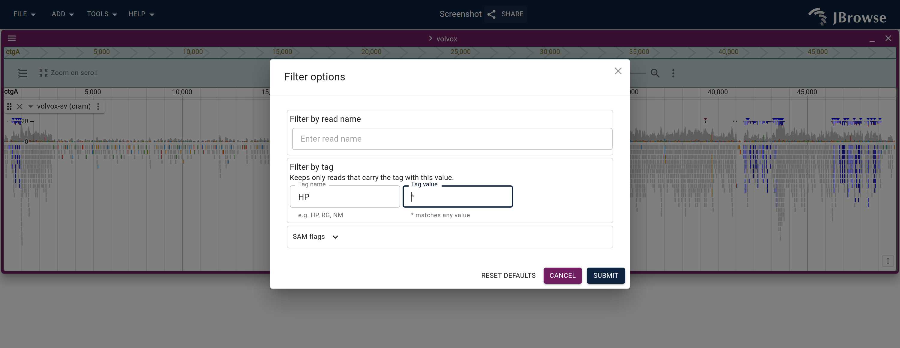 The Filter options dialog with HP typed as the tag. A value of * keeps every read carrying the tag; the SAM flag masks sit behind their own section, which by default excludes unmapped, QC-fail and duplicate reads.