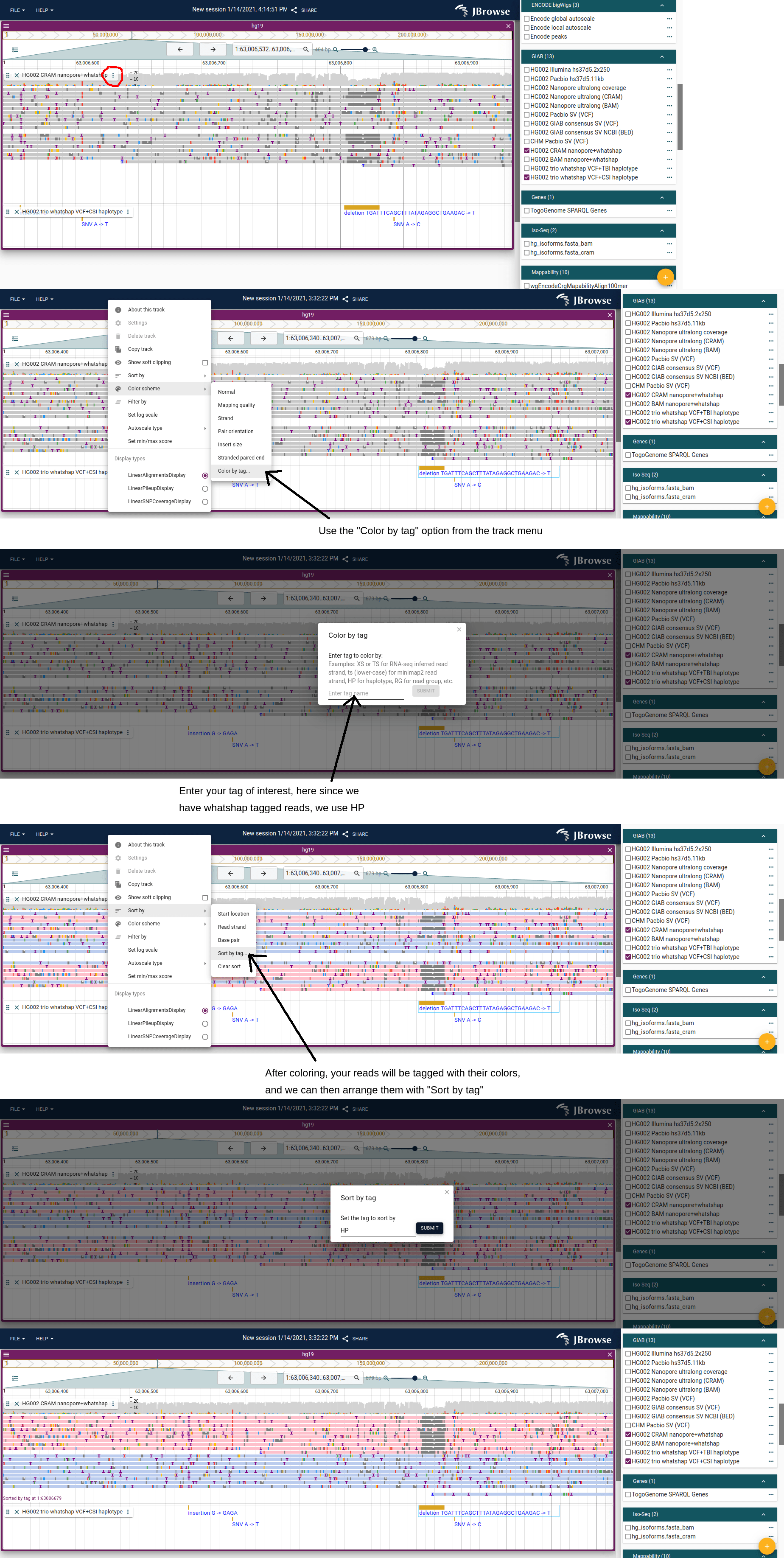 Step-by-step guide showing how to sort and color by haplotype with the HP tag.