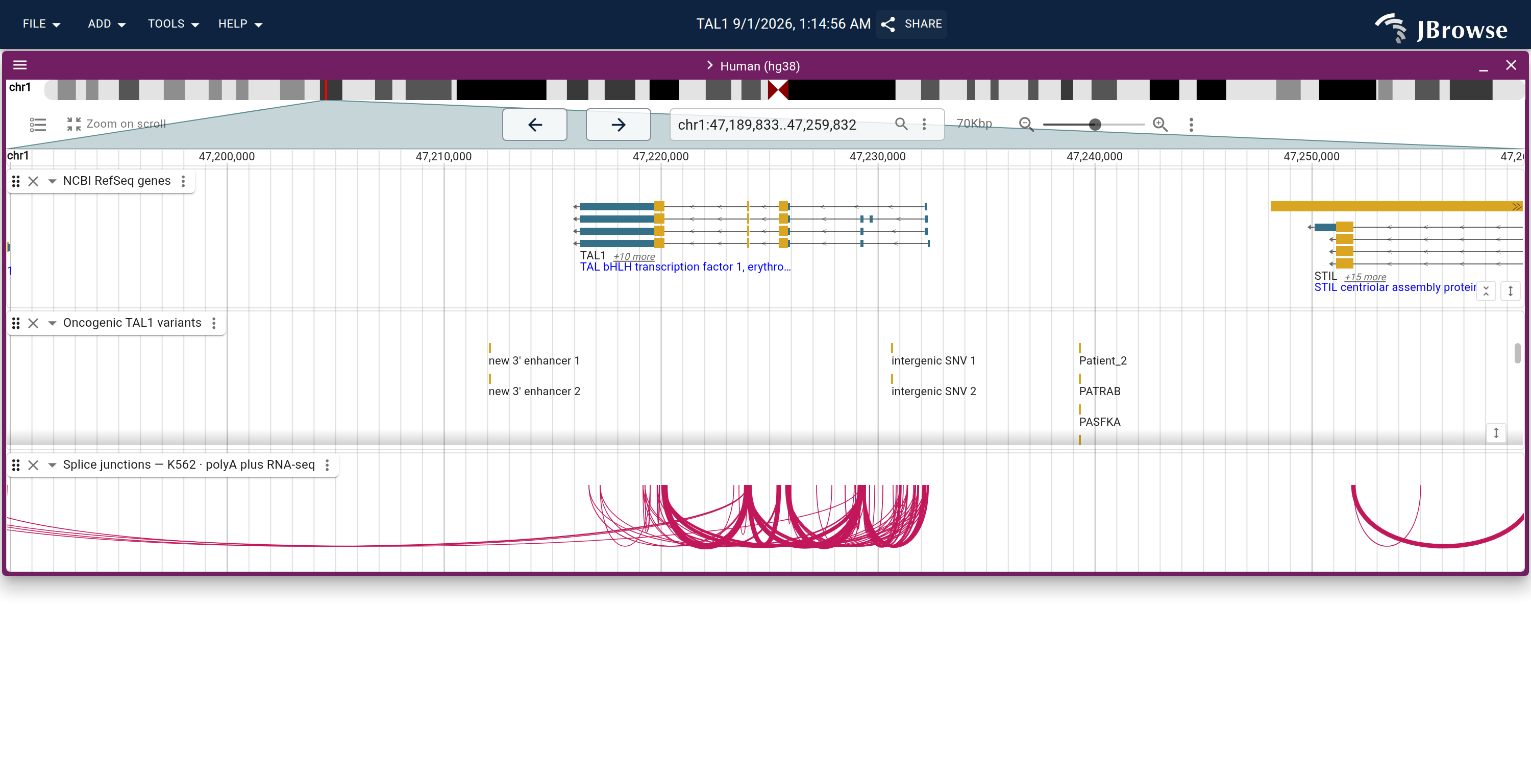 Predicted splice junctions for K562 polyA plus RNA-seq, as sashimi arcs. The arcs span the introns between the TAL1 exons the RefSeq track draws above them, with a second set over STIL to the right.