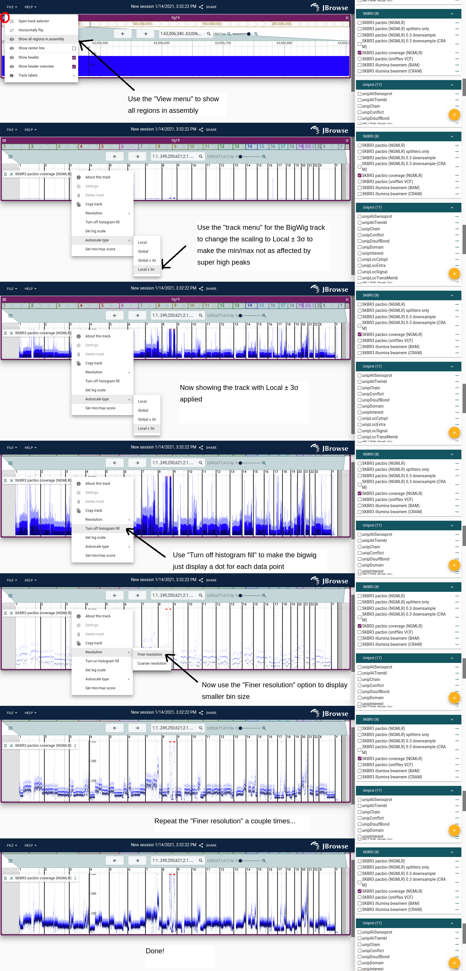 A step-by-step guide to view a whole-genome CNV profile of coverage from a BigWig file.