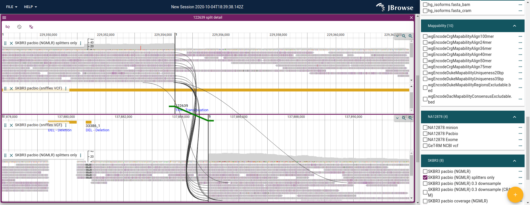 Screenshot of the 'breakpoint split view' which examines the breakpoints of a structural variant, e.g. an interchromosomal translocation, and connects supporting reads (black splines) and the variant call itself (green thicker line, with feet indicating directionality).