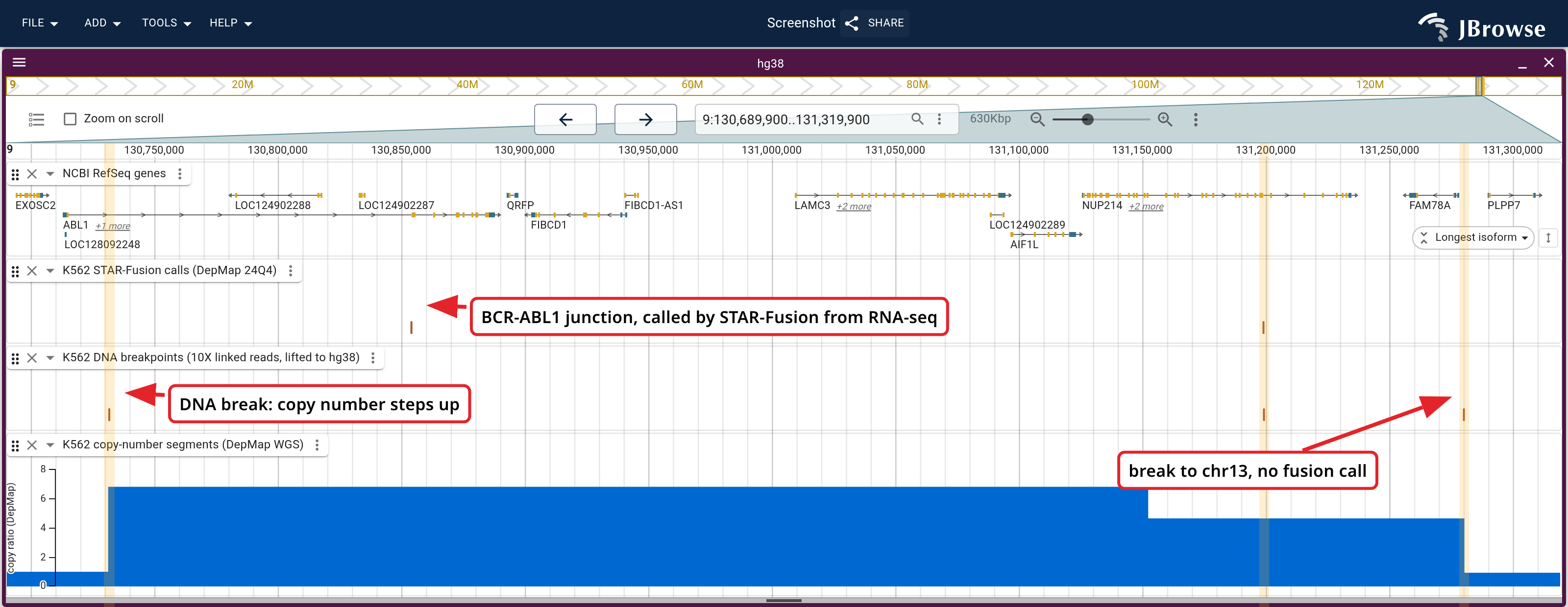 chr9 from ABL1 to past NUP214: STAR-Fusion junctions from RNA-seq, 10X DNA breakends and DepMap copy number, with the three DNA breaks banded. Copy number steps at the outer two breaks. The BCR-ABL1 junction sits well right of its break, the NUP214-XKR3 junction on top of its break, and the right-hand break reaches chr13, where nothing is transcribed.