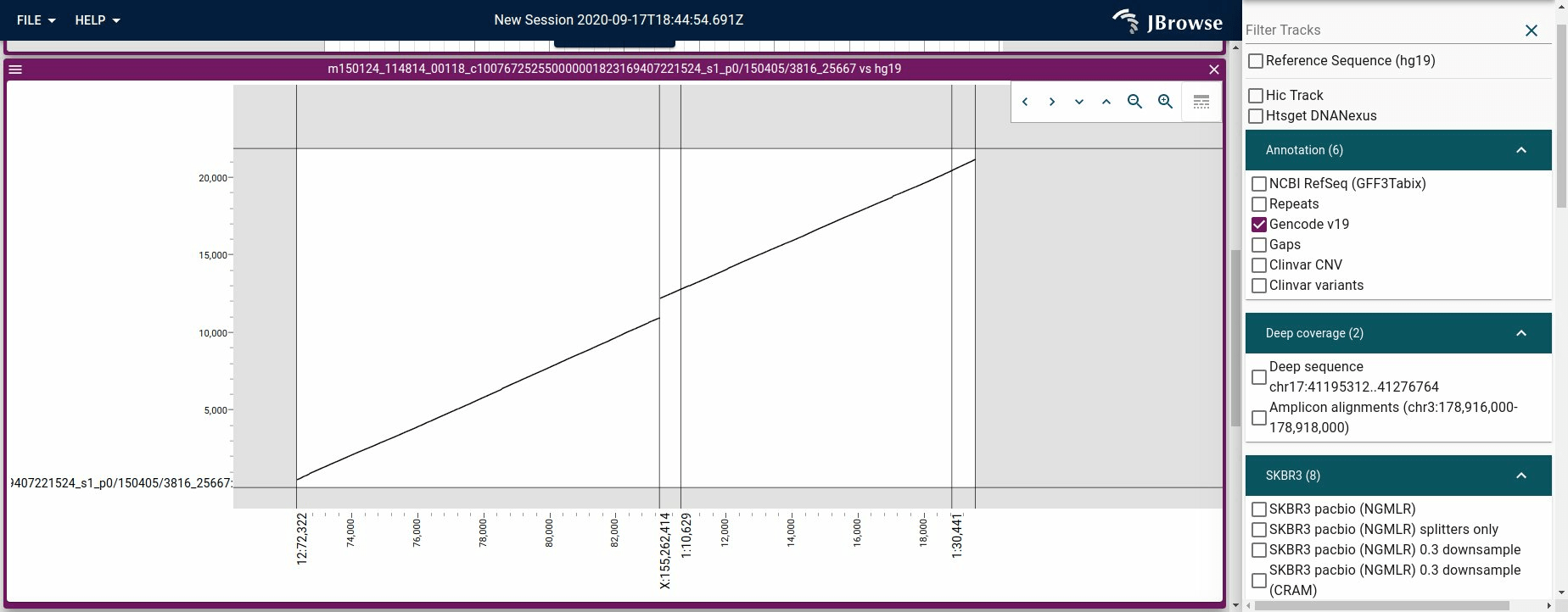 Screenshot of a dotplot produced by a long read vs the reference genome.