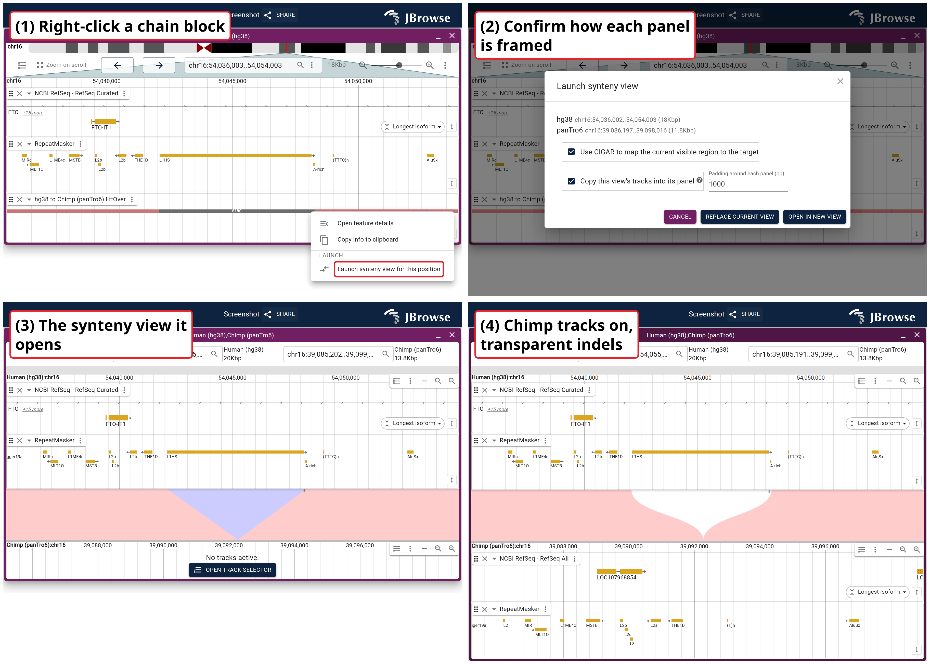 The four steps on the hg38-to-panTro6 liftOver track across an FTO intron: right-click a chain block, confirm the framing, launch, then add the chimp panel's genes and repeats.