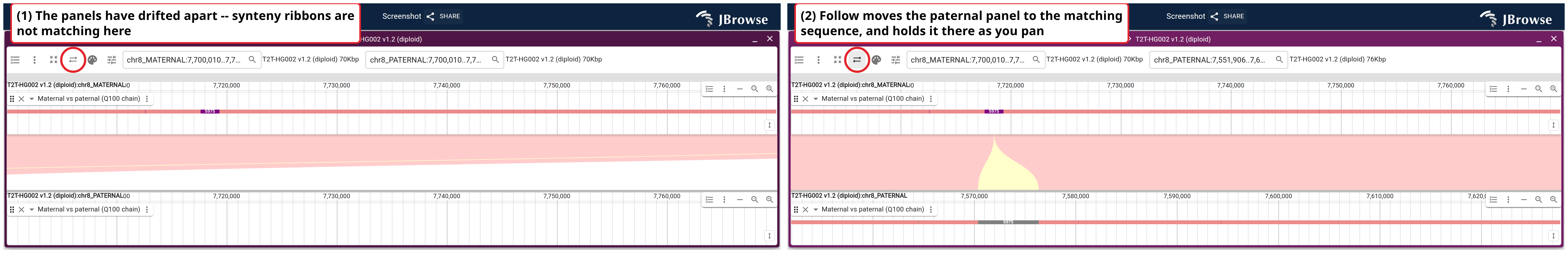 Before and after the follow button, maternal over paternal with the Q100 chain blocks on each haplotype's own coordinates. The paternal lane is empty on the left because those coordinates land past the end of the block above them.