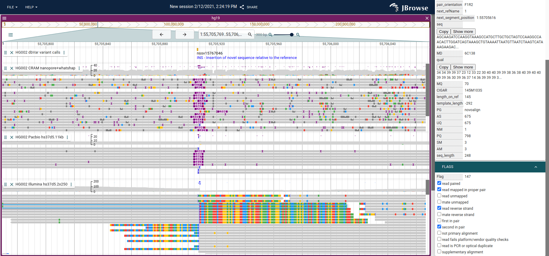 Large insertion indicator drawn from long reads, along with the 'show soft clipping' setting turned on for a short read track.