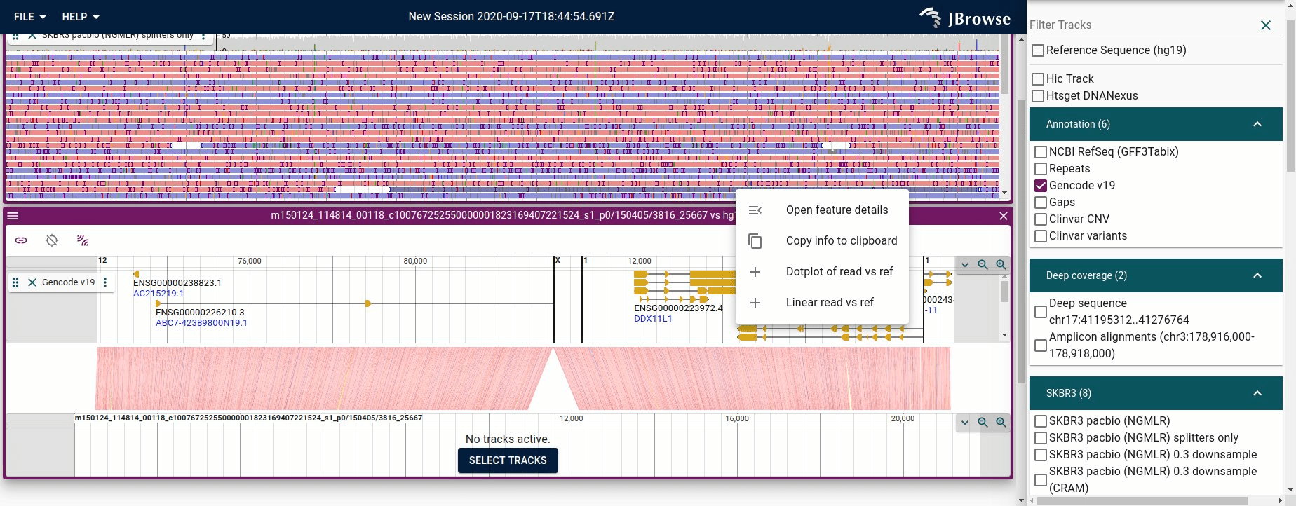 Screenshot of a 'synteny' view produced by a long read vs the reference genome.