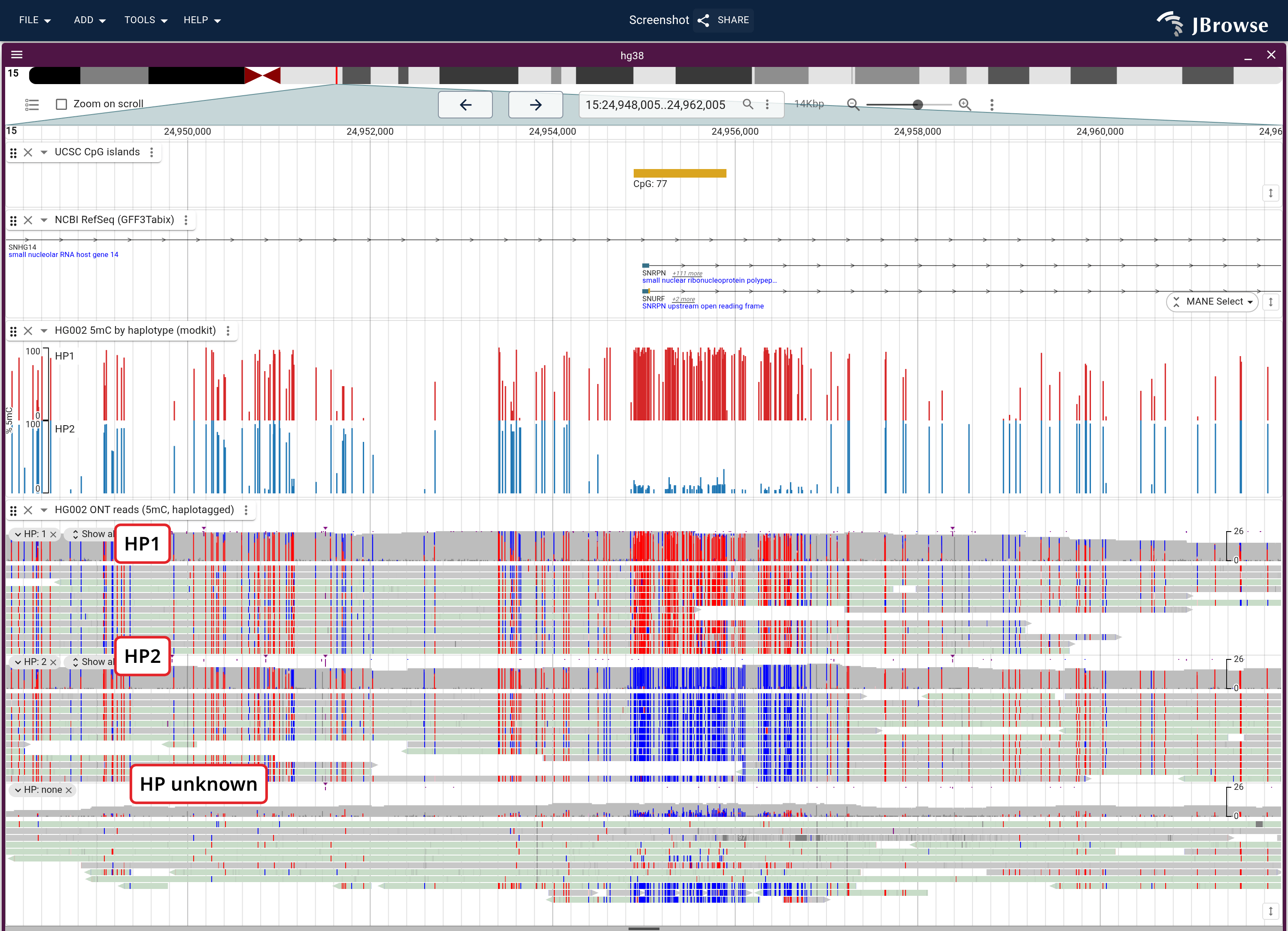 Imprinting at the SNRPN / Prader-Willi center: one haplotype methylated, the other not. The per-haplotype profile on top, the reads grouped by HP below, with the same haplotype methylated in both.