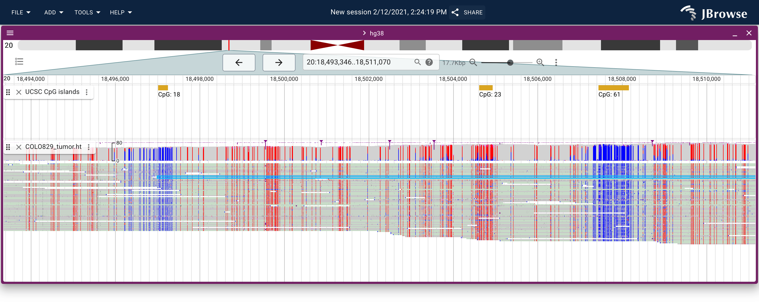 CpG methylation