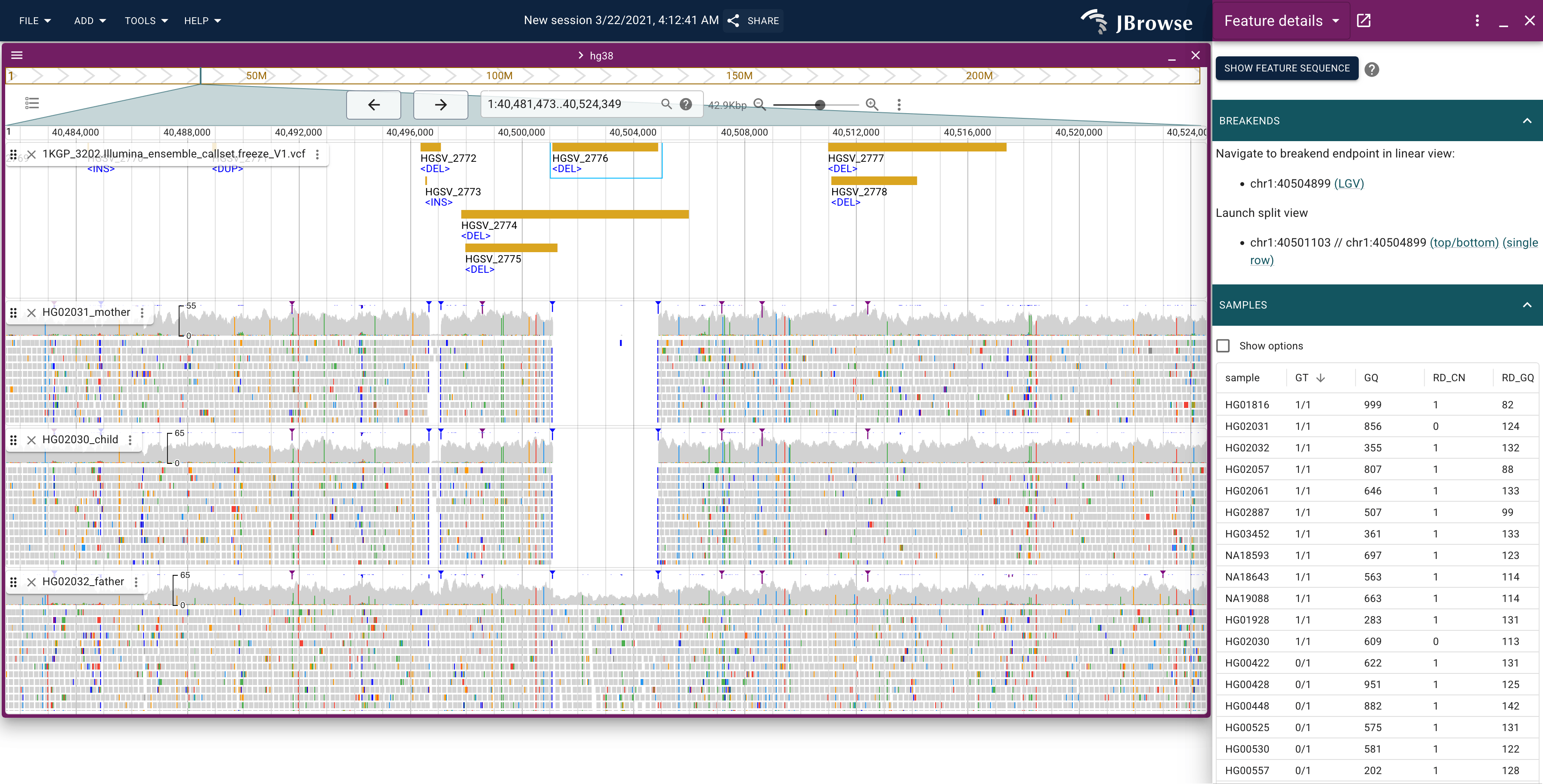 Example screenshot of looking at a deletion structural variant, with alignment evidence from a mom, dad, and child (trio). The firs two samples (mother, child) have complete (homozygous) deletion in this region, while the father has a heterozygous deletion. The blue markers show 'soft clipping' at the boundaries of the deletion. The right panel shows all the samples, sorted by their genotype