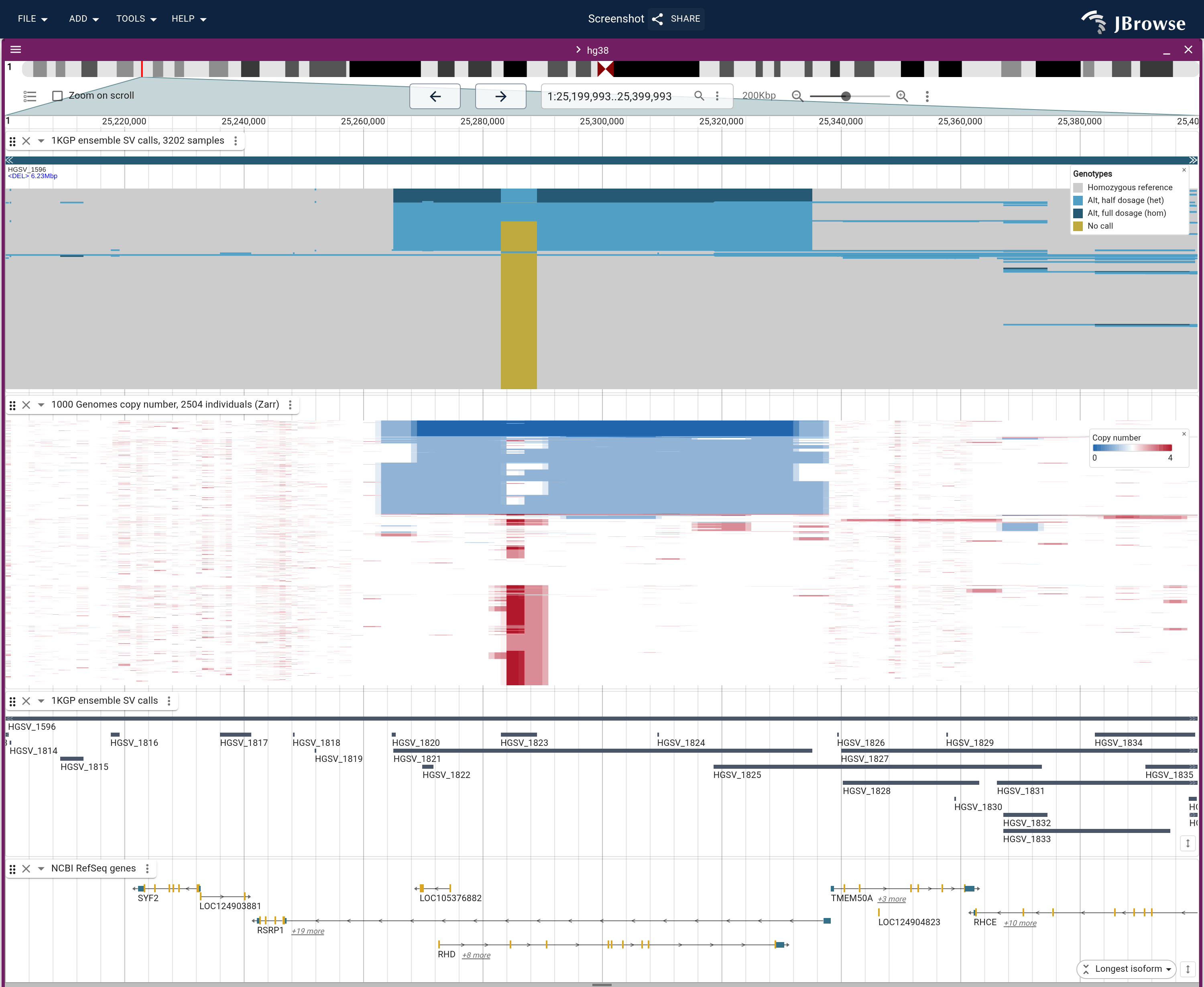 The 1KGP ensemble SV callset over the RHD locus on chr1, with the panel's copy-number calls under it. The deletion draws as a wide block, splitting the cohort into three bands in the matrix and three levels of copy number.