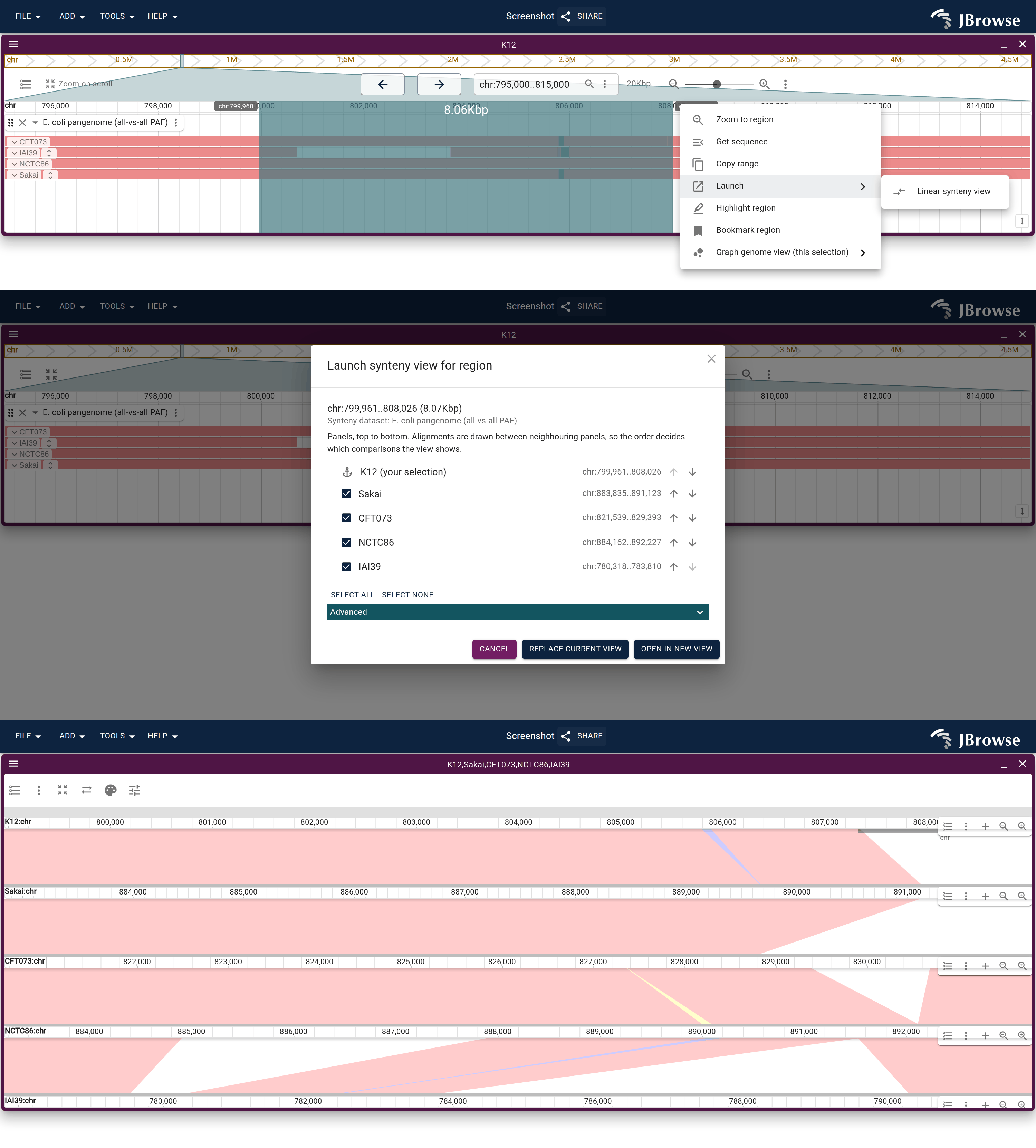 Rubberband-select a window of the shared backbone, then Launch → Linear synteny view.