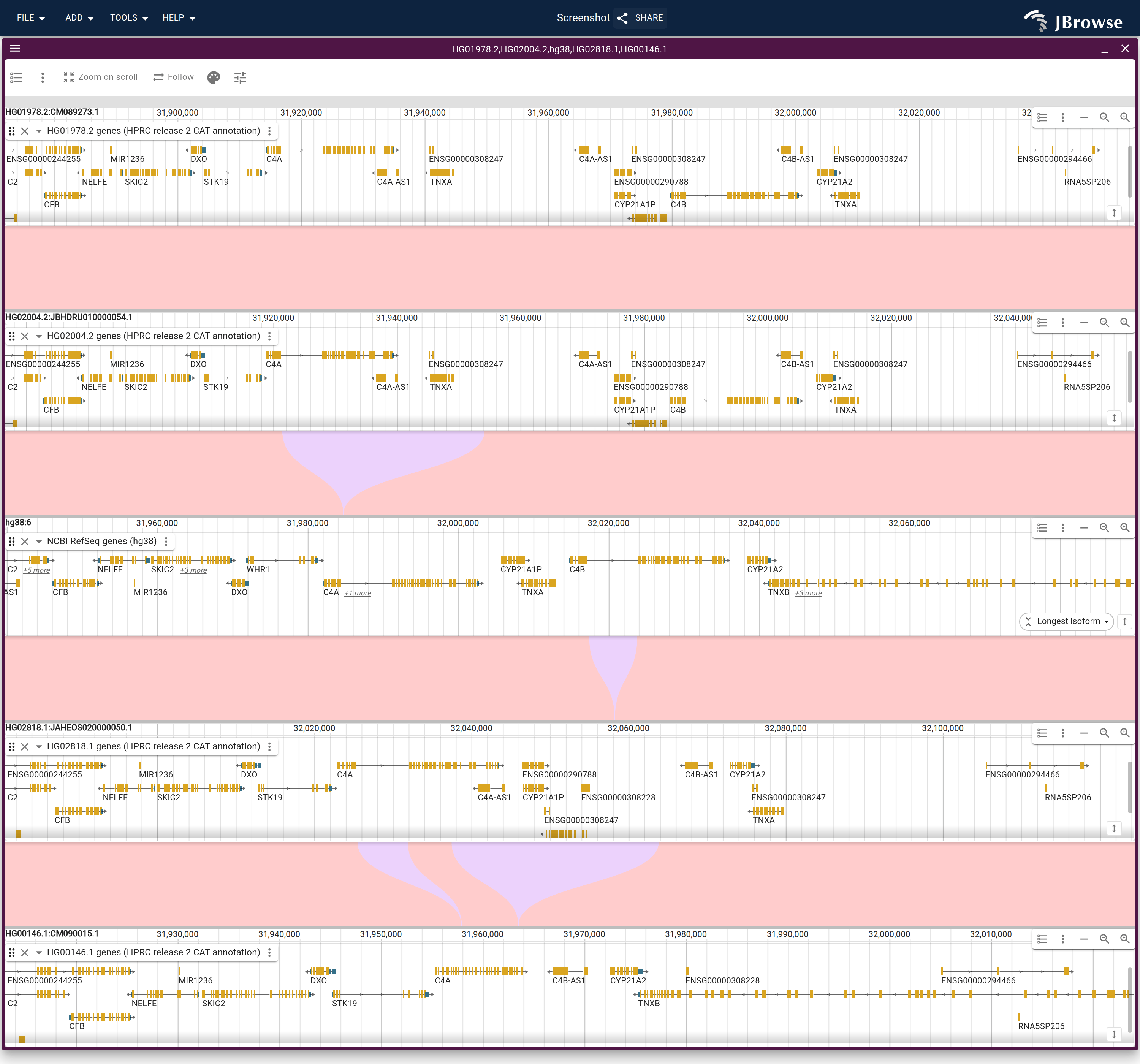 Five haplotypes across C4, each with its own gene track and each aligned to the row under it off the graph's walks. The two three-module rows at the top align straight through. Below them the wedges are the module GRCh38 lacks, the HERV-K insertion inside GRCh38's C4B, and, in two pieces, the module the one-module row lacks.
