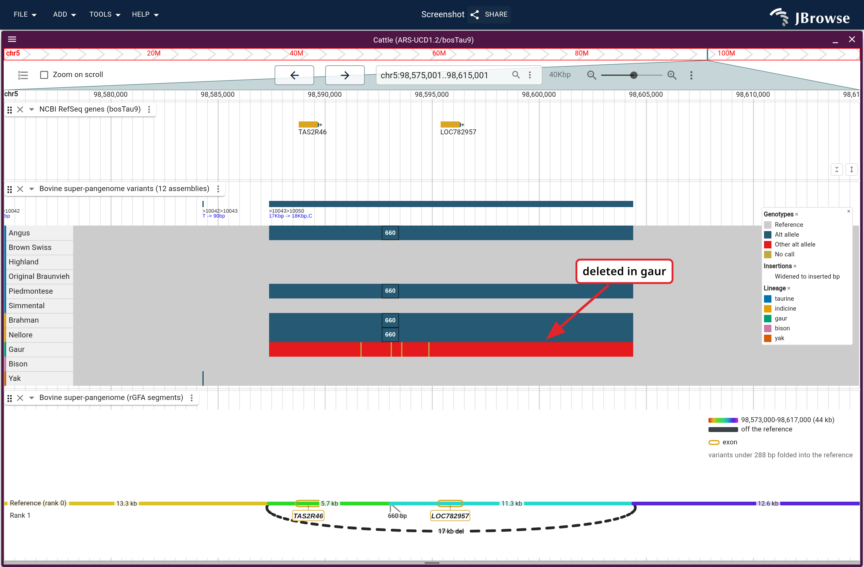 TAS2R46 on ARS-UCD1.2: RefSeq genes and the callset, whose variant lane draws the record over the deleted span and names its alleles. The gaur row has the deletion, and four cattle rows have a different allele across the same span.