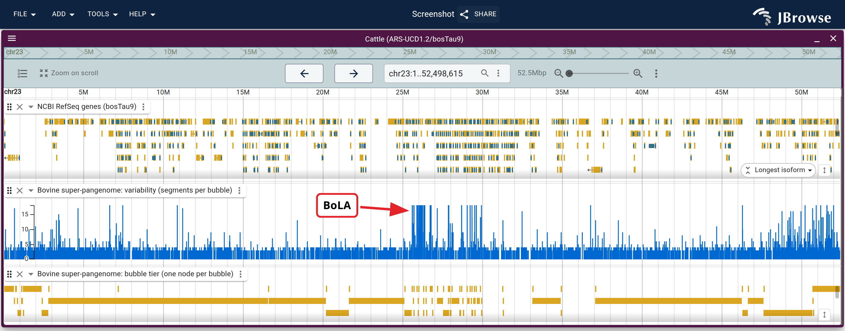 A whole ARS-UCD1.2 chromosome with the RefSeq genes, the segments-per-bubble curve and the bubble tier on one axis. BoLA is the densest stretch of the curve.