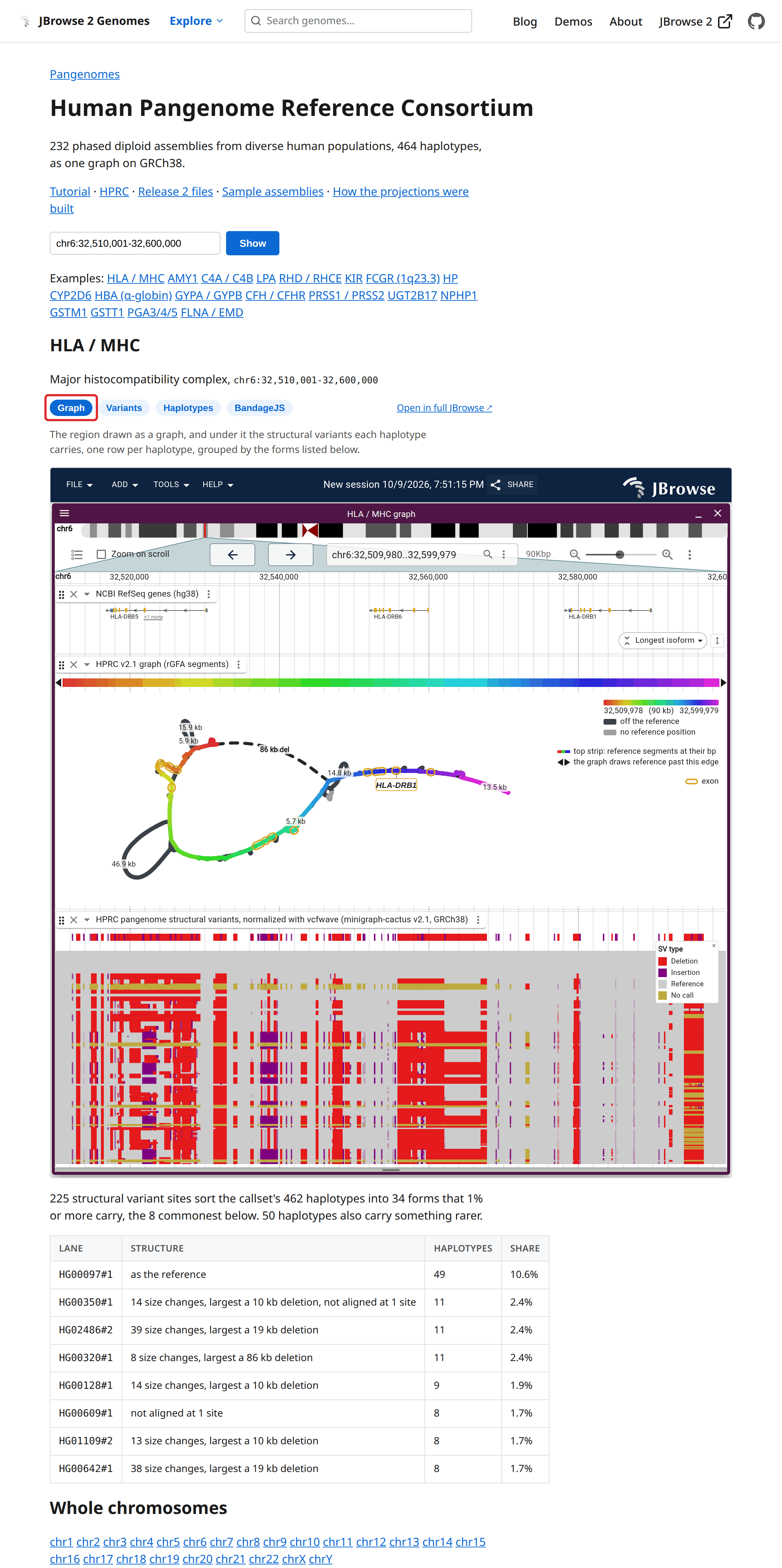 The HPRC page answering its HLA / MHC example: the Gene or region box and its examples, then the Graph view drawn in the page and the structural forms its haplotypes have. The boxed button is Graph.