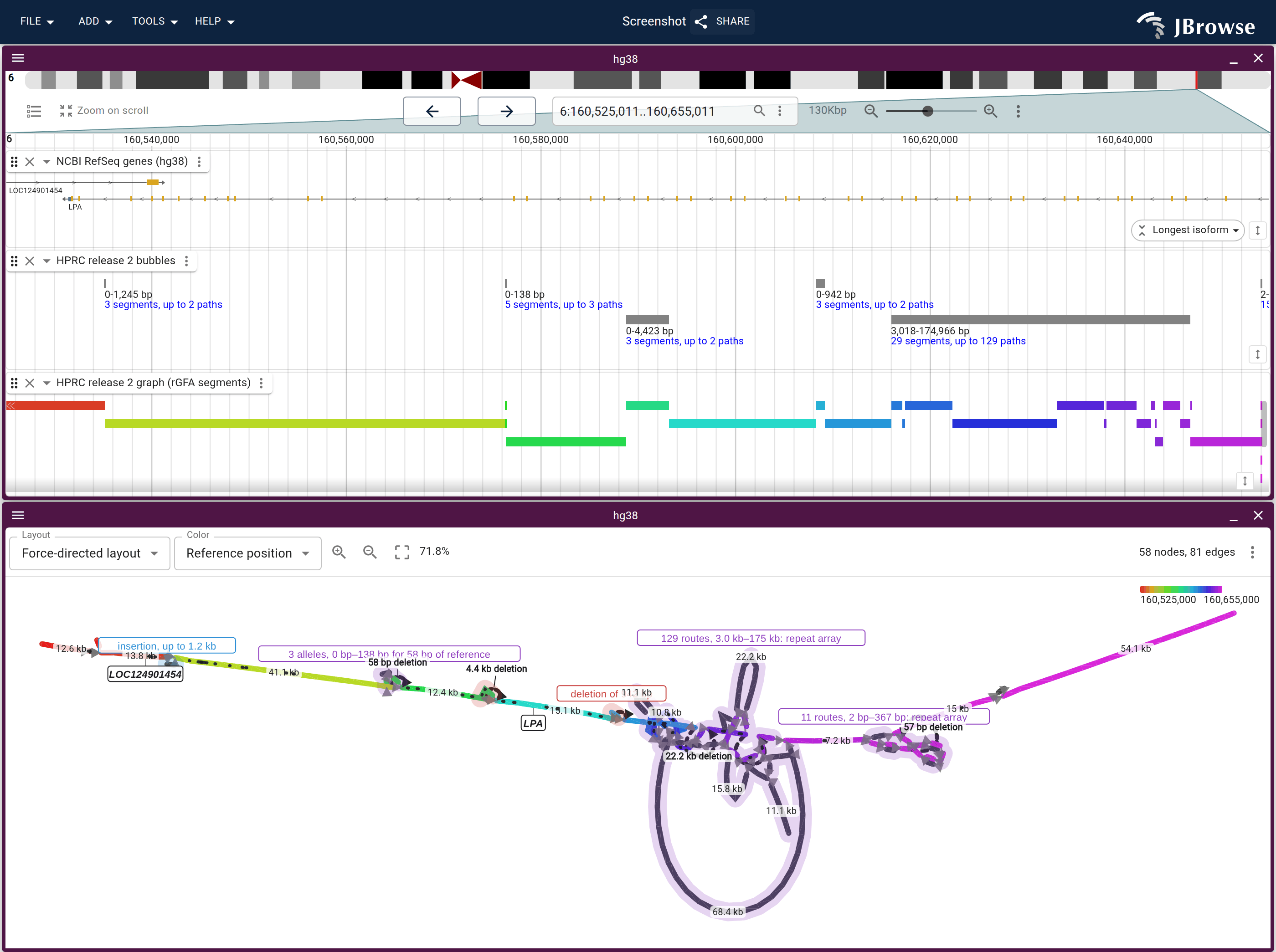 The LPA window with the RefSeq genes, the HPRC bubbles and the rGFA segments above the force-directed graph. The kringle array is the knot of loops in the middle and its halo names it as a repeat array; the small halos on the backbone are the deletions and the insertion the index lists beside it, and LPA is pinned under the backbone with its exons drawn along it.