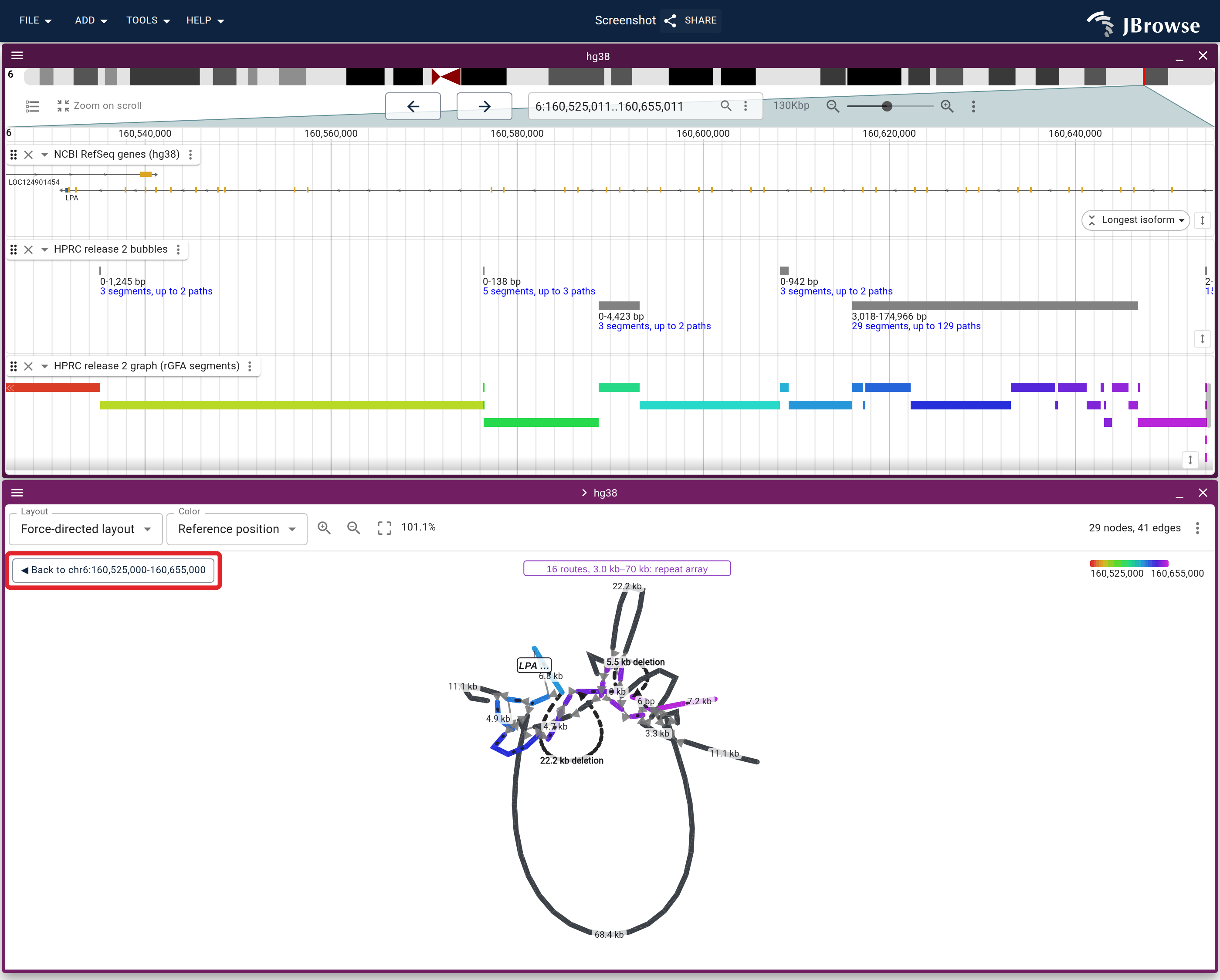 The array's segments popped out of the window and drawn on their own. Each loop is a run of kringle copies a haplotype walks and the reference misses, and the popped graph's own label states how many routes it holds.