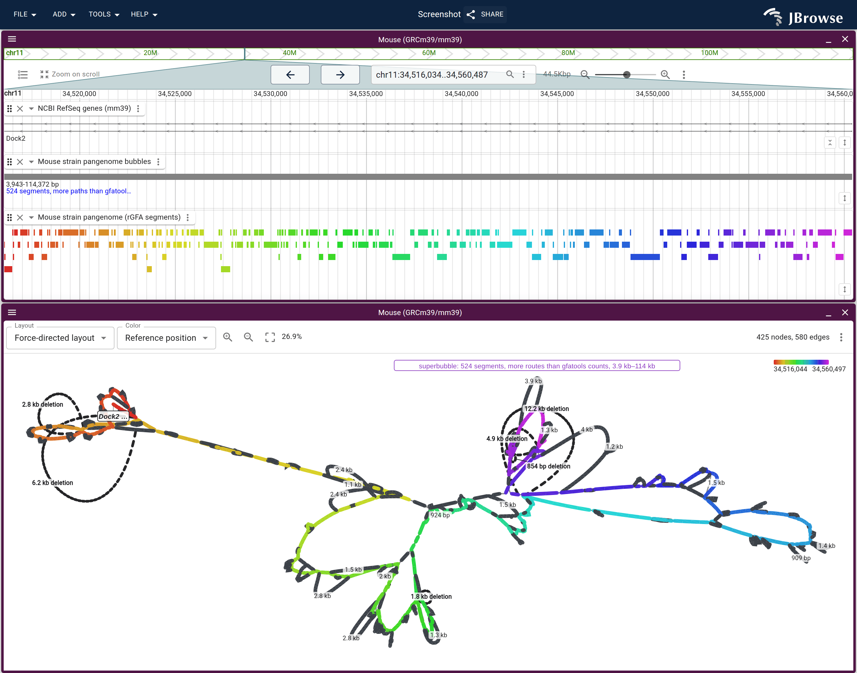The Dock2 intron window with the RefSeq genes, the bubbles lane and the rGFA segments above the force-directed graph. The bubbles lane is one row and the graph carries one label, naming the whole cut as a superbubble.