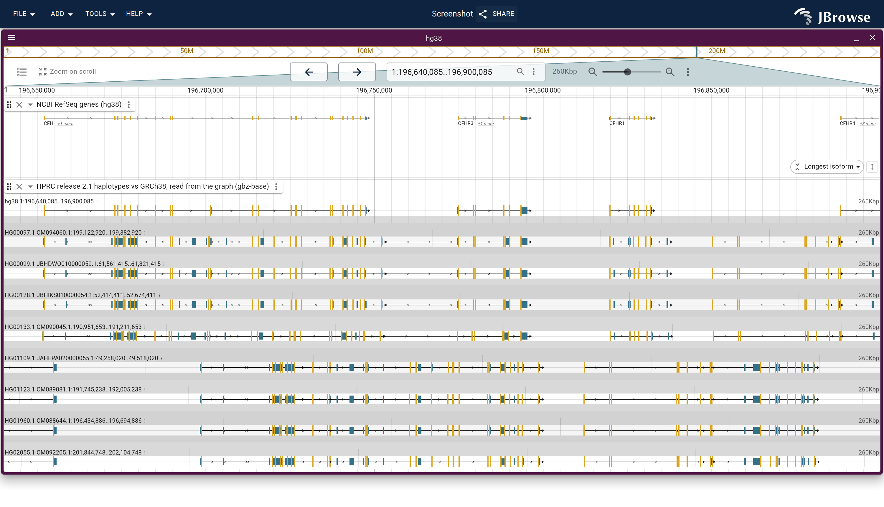 The CFH cluster's eight lanes read from the graph at load time, the non-carriers above the carriers, from two hosted files and no offline step. Each lane is one haplotype's walk aligned to hg38 as a CIGAR, and because the eight assemblies are in the session, each draws that haplotype's own CAT genes at its own coordinates over it.