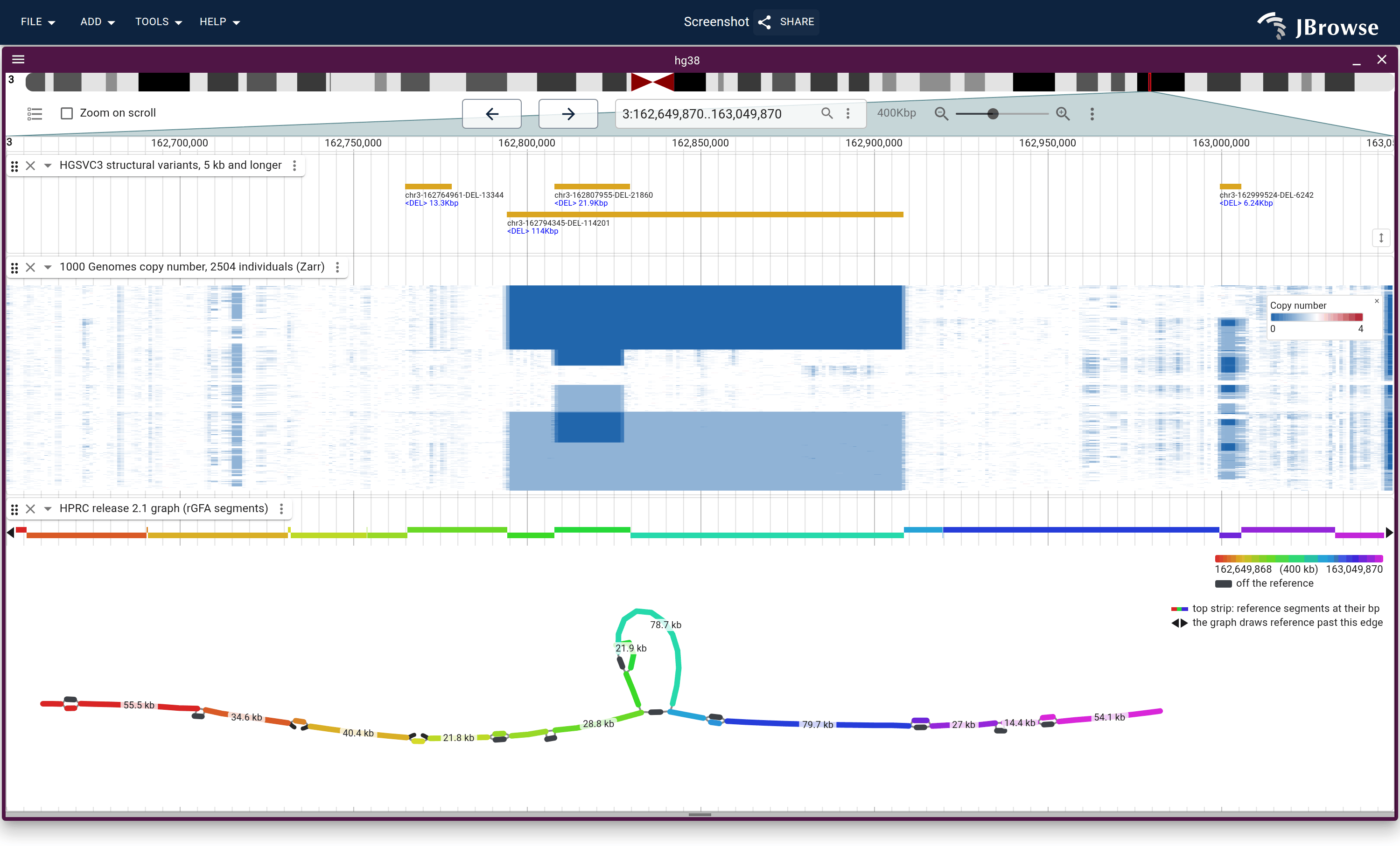 All 2504 individuals over the nested deletion, clustered, under HGSVC3 structural variants of 5 kb and longer. Each block of rows has neither deletion, one or two copies of one of them, or one copy of each.