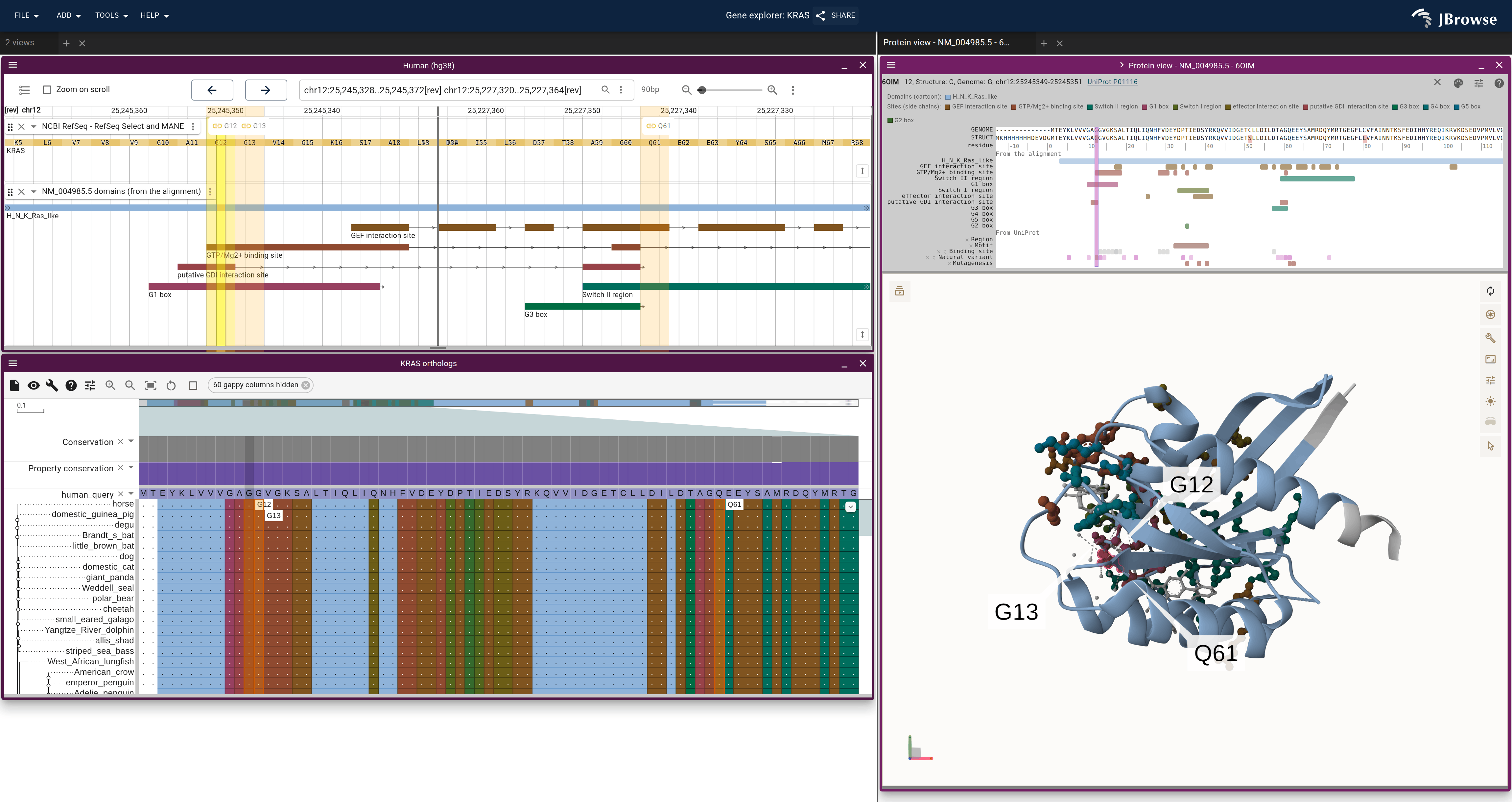 KRAS in three linked views, colored by the alignment's domains and sites: the genome's domain track, the alignment's rows and the 6OIM cartoon, with each site's side chains as sticks.