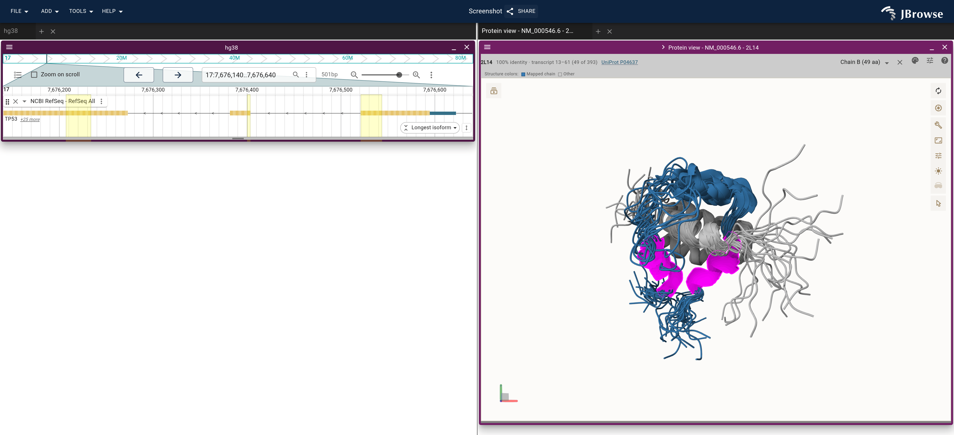 NCBI RefSeq over TP53's first coding exons beside every model of 2L14. The p53 chain is blue on grey CBP with its two helices in magenta; the helices overlap from model to model, the linker leaving the first one spreads, and bands on the gene mark the helices' codons.