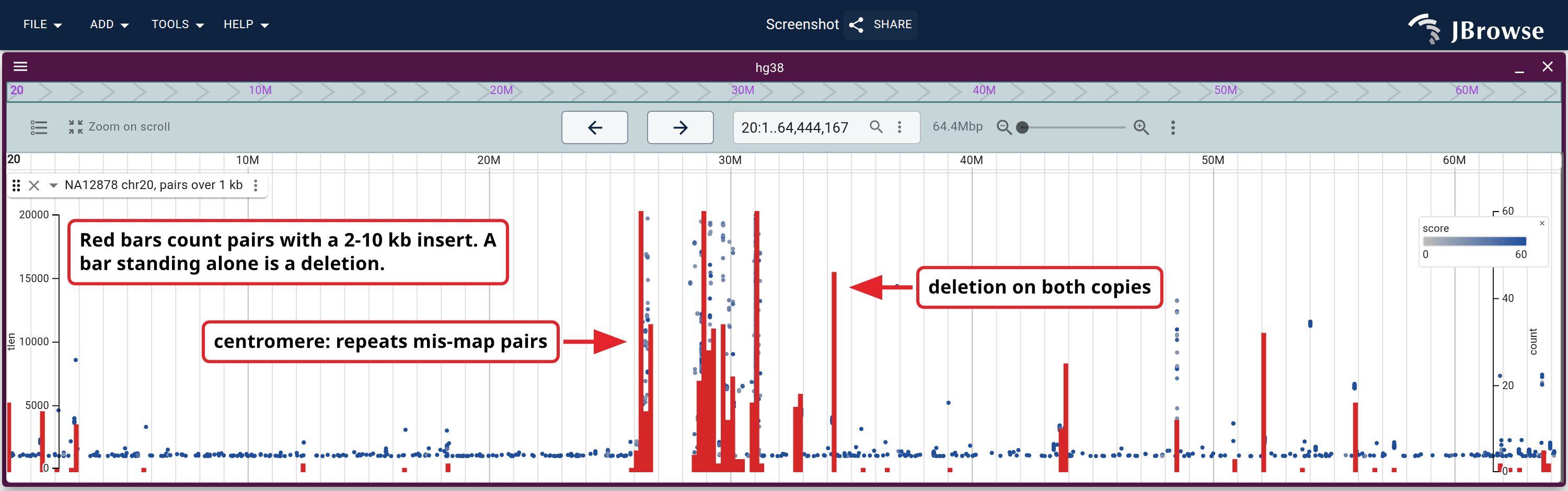 Chromosome 20 end to end. Every pair with an insert under 20 kb is a point at its insert size, and the red bars on the right axis count the pairs between 2 and 10 kb per bin. The centromere, from 26 to 32 Mb, saturates both; outside it the bars stand up in a handful of places, each under a short stack of dark points.