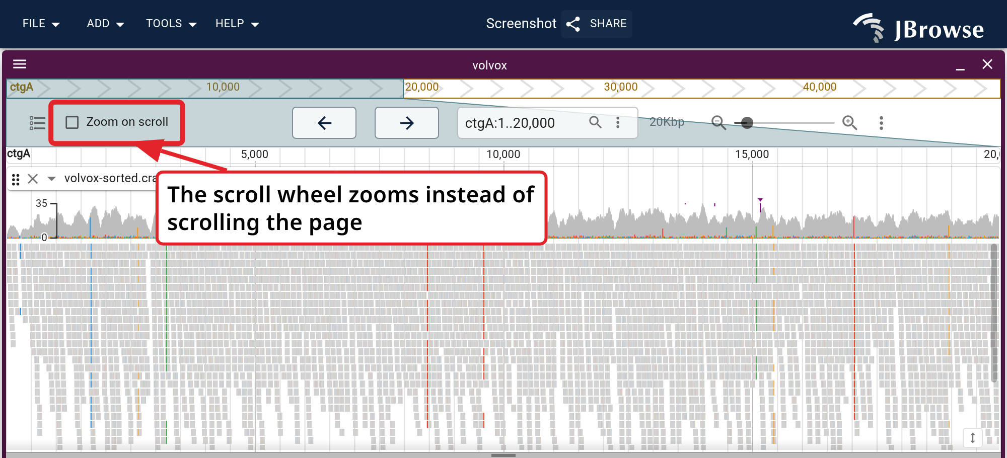 The Zoom on scroll checkbox in the LGV header. With it on, the wheel zooms wherever it is over the tracks, and the header still scrolls the page.