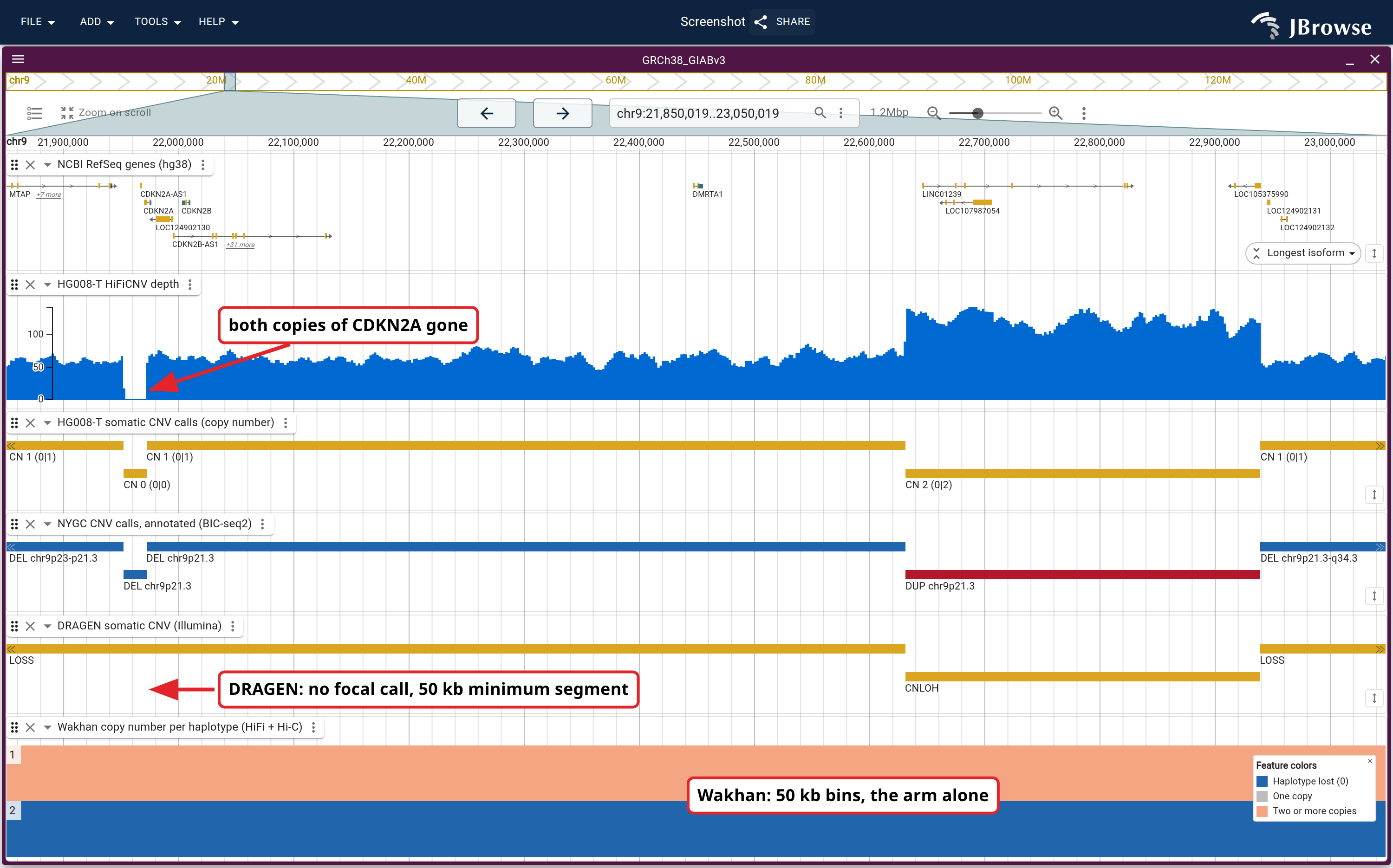 Four published CNV callsets over chr9p21.3, with the HiFiCNV depth and B-allele frequency above them: the V0.5 benchmark, NYGC's annotated BIC-seq2 segments, DRAGEN's somatic CNV VCF, and Wakhan's two haplotype rows. Depth drops out over CDKN2A, where the benchmark and NYGC both carry a focal call and the two coarser segmentations run straight through.