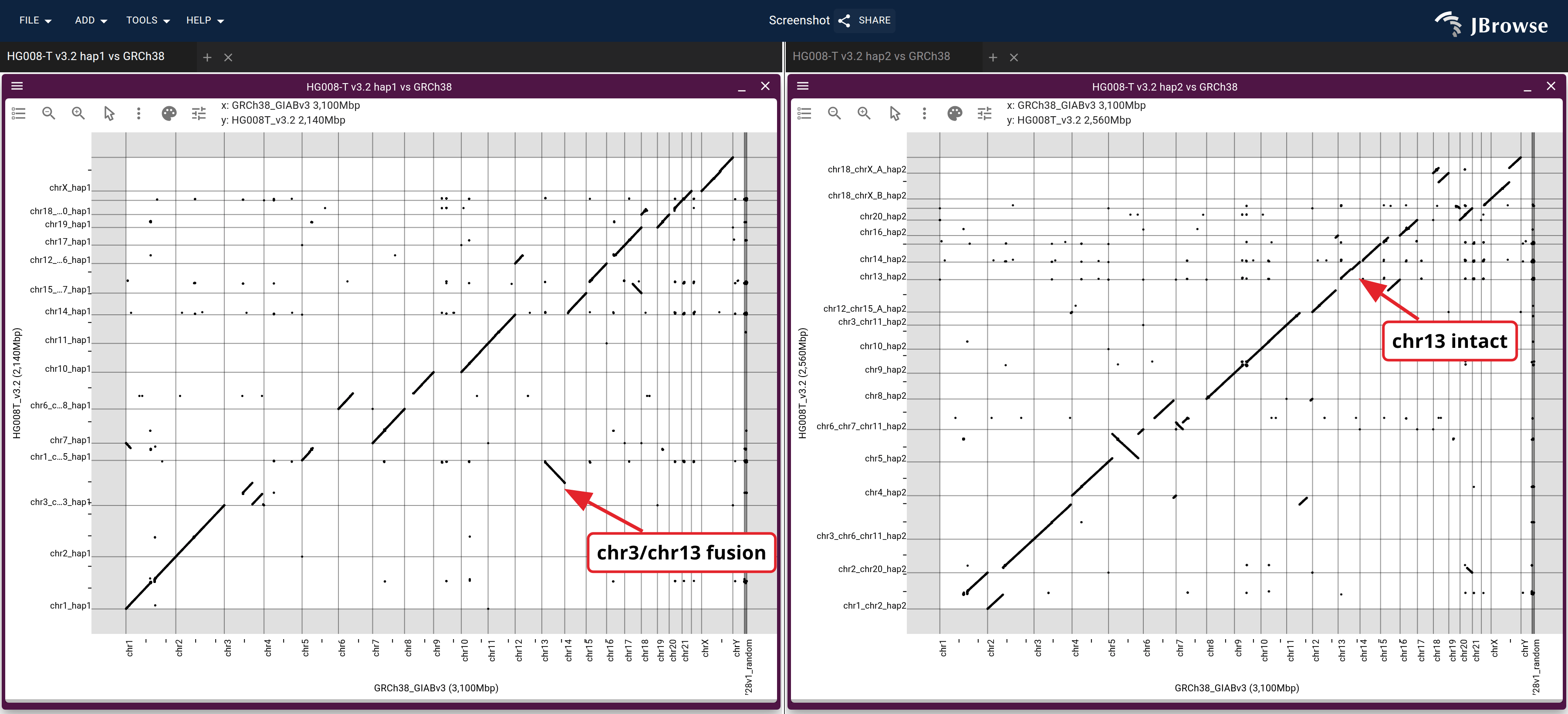 The two haplotypes of HG008-T v3.2 (y) against GRCh38 chromosomes (x), hap1 left and hap2 right. A scaffold that matches one GRCh38 chromosome is one diagonal segment. On hap1 the chr3_chr13_hap1 scaffold has a piece of chr3 and a piece of chr13, the translocation; on hap2 chr13_hap2 is one unbroken diagonal against chr13.