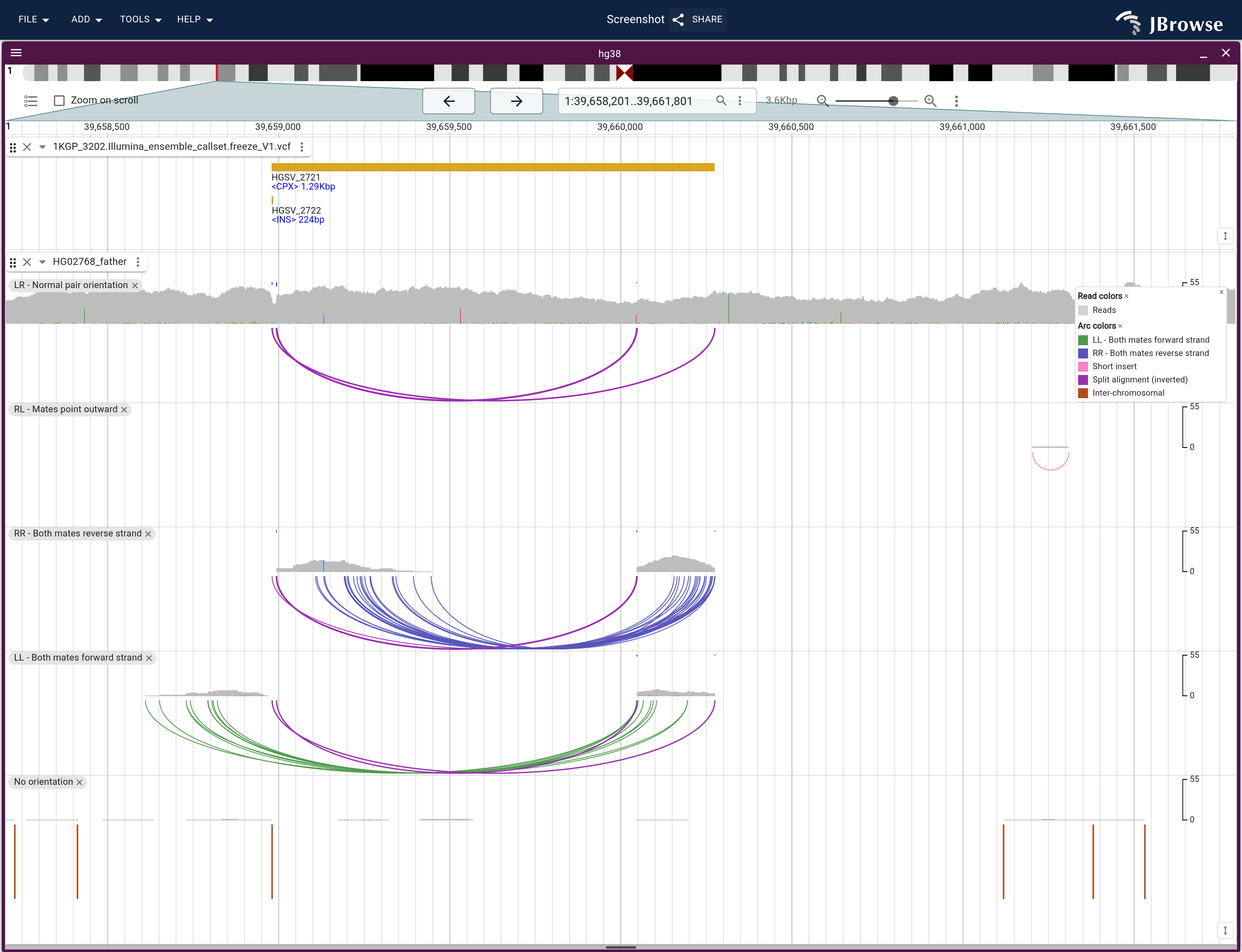 The INVdup call above, arranged as one band per pair orientation in HG02768. The two same-strand bands hold arc bundles ending on the same breakpoints, the normal band holds the ordinary coverage, and the outward-pointing band stays near empty. The last band holds reads whose mate is unmapped or on another chromosome, drawn as inter-chromosomal ticks.