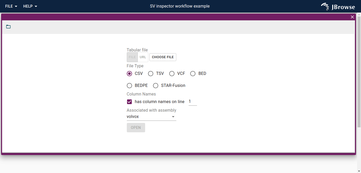 The import form for getting started with the SV inspector.