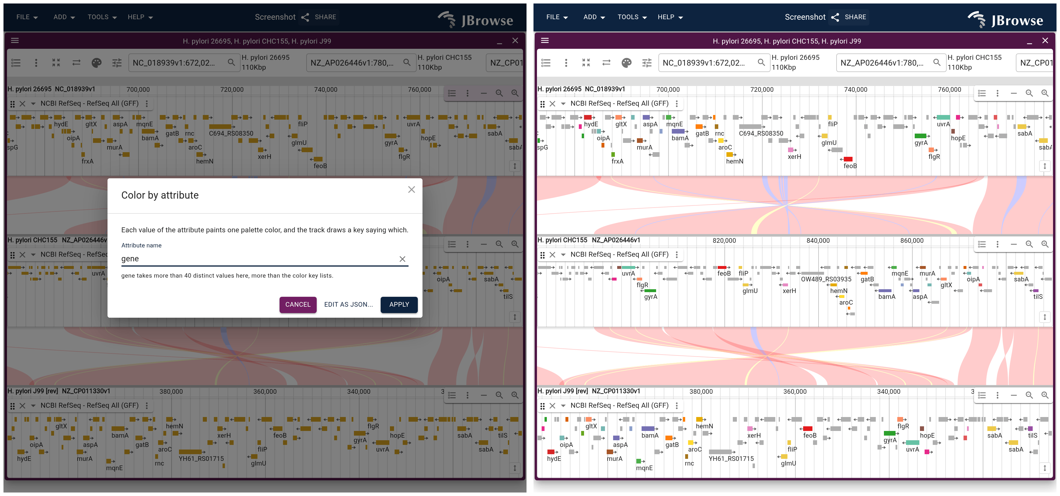 The click and its result. Left, the Color by attribute dialog on the first strain's gene track with the attribute name set to gene. Right, the same three strains after applying it: a shared symbol holds one color down all three panels, and the middle row shows the colors in reverse order.