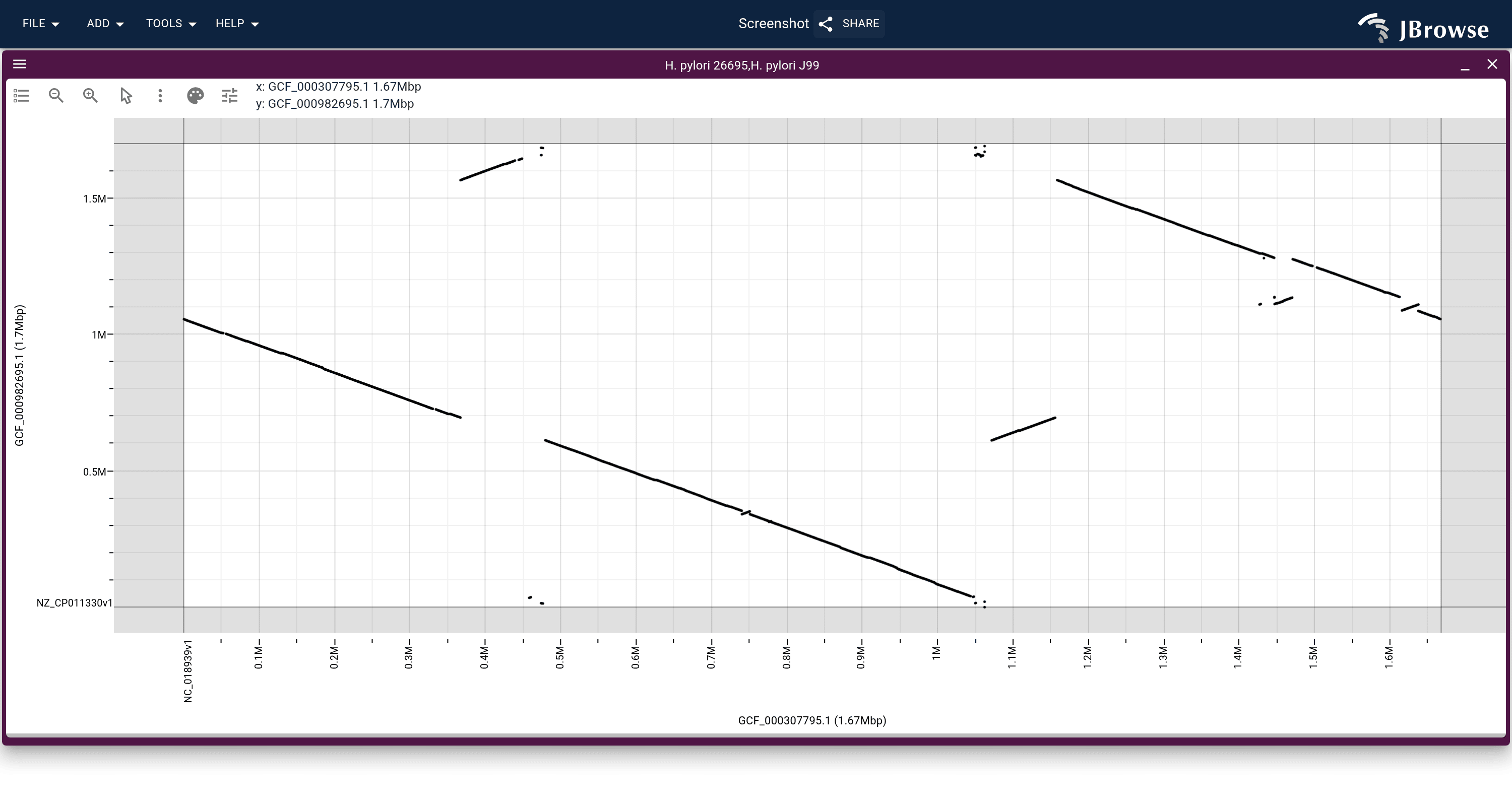 The 26695 vs J99 alignment, 26695 on the X-axis and J99 on the Y-axis. The backbone runs anti-diagonal because the two assemblies were deposited in opposite orientations, and the pieces sitting off it are the rearrangements between the strains.