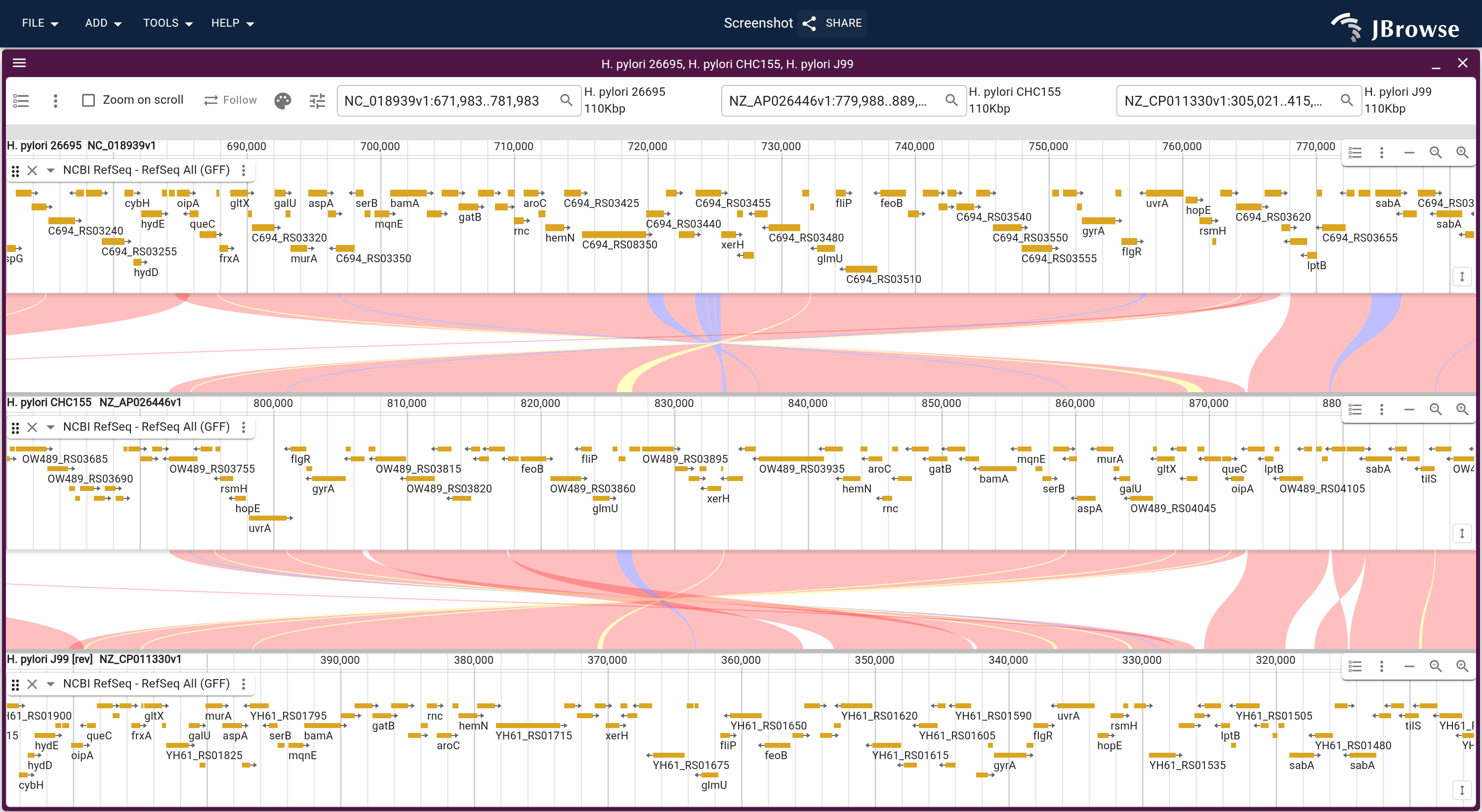 Three H. pylori strains stacked with a gene track on each genome, across the stretch inverted in CHC155. The ribbons into the middle row cross from both sides, since the same stretch runs one way in 26695 and J99 and the other way in CHC155.
