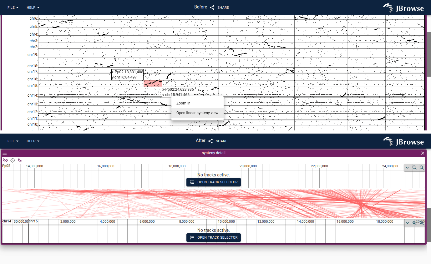 Screenshow showing the 'click and drag' selection over the dotplot view which prompts you to open up a linear synteny view from the selected region.