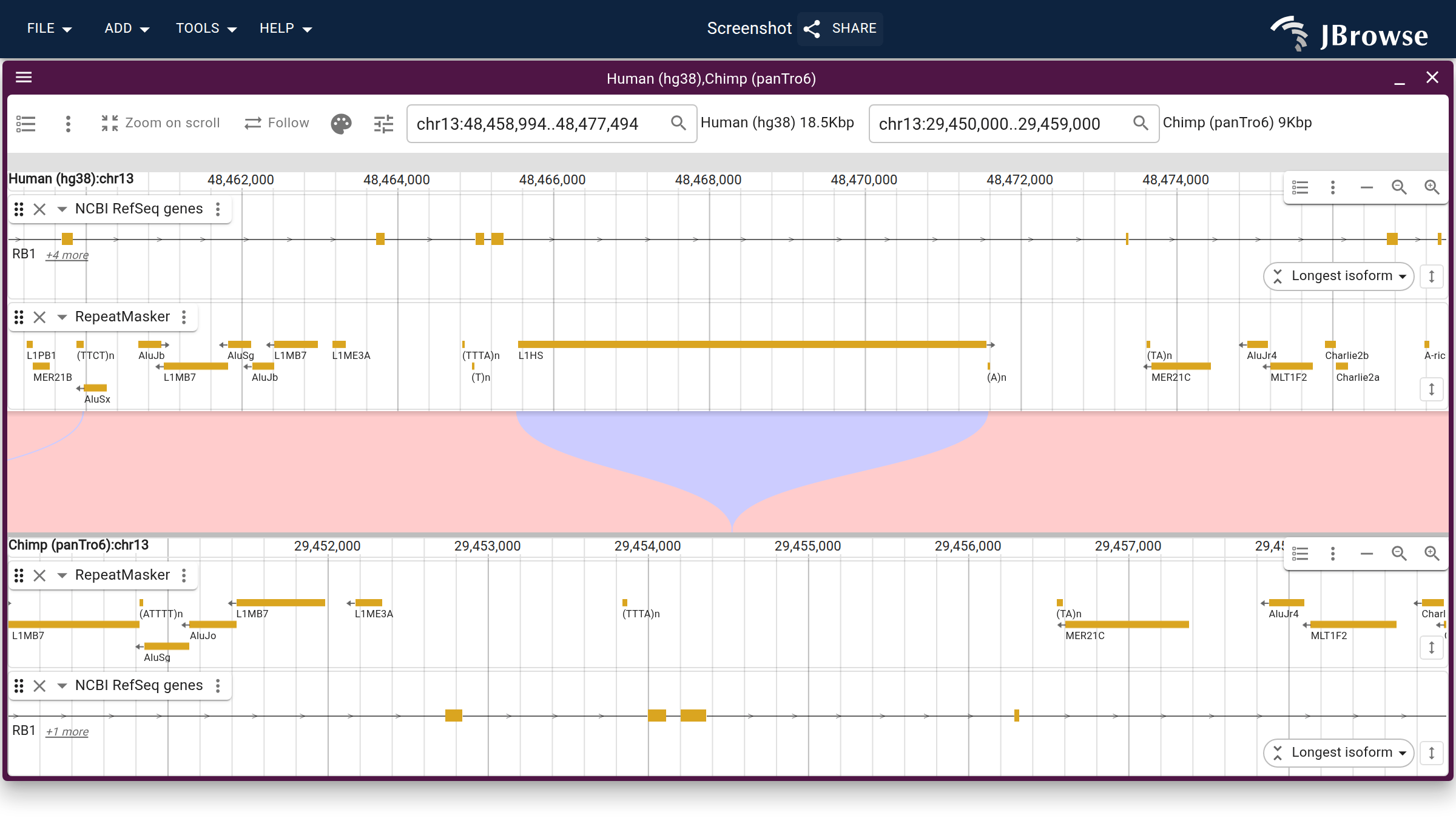 Human (hg38) vs chimp (panTro6) across an RB1 intron, from a UCSC liftOver chain with RepeatMasker on both genomes. A full-length L1HS present in human is absent at the orthologous chimp intron, which the 'Colored indels' mode paints as a wedge in the ribbon.