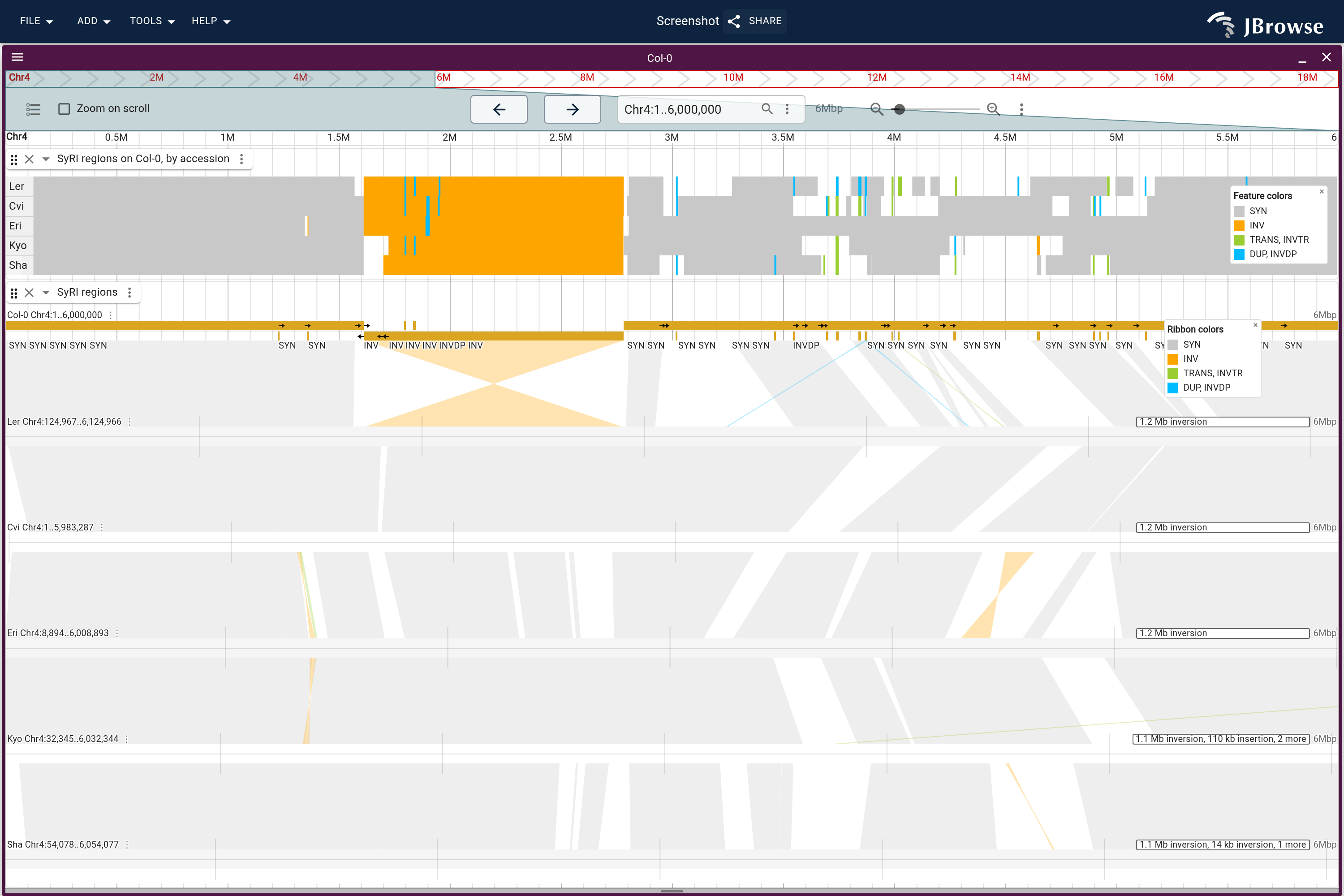 Col-0 chromosome 4 with one row of SyRI regions per accession above, and the accessions as lanes in their own assembly coordinates below, each band colored by the SyRI type between the two genomes it joins. Every accession is inverted against Col-0 across the same stretch, and the bands between accessions run straight there.