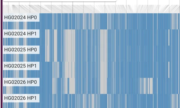 Preview of Phased trio analysis (1000 Genomes)