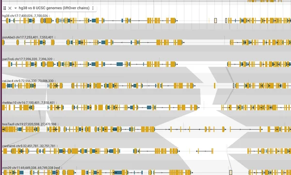 Preview of Synteny from liftOver chains (hg38 and eight vertebrates)