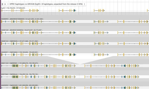 Preview of Synteny from a pangenome graph (eight HPRC haplotypes)